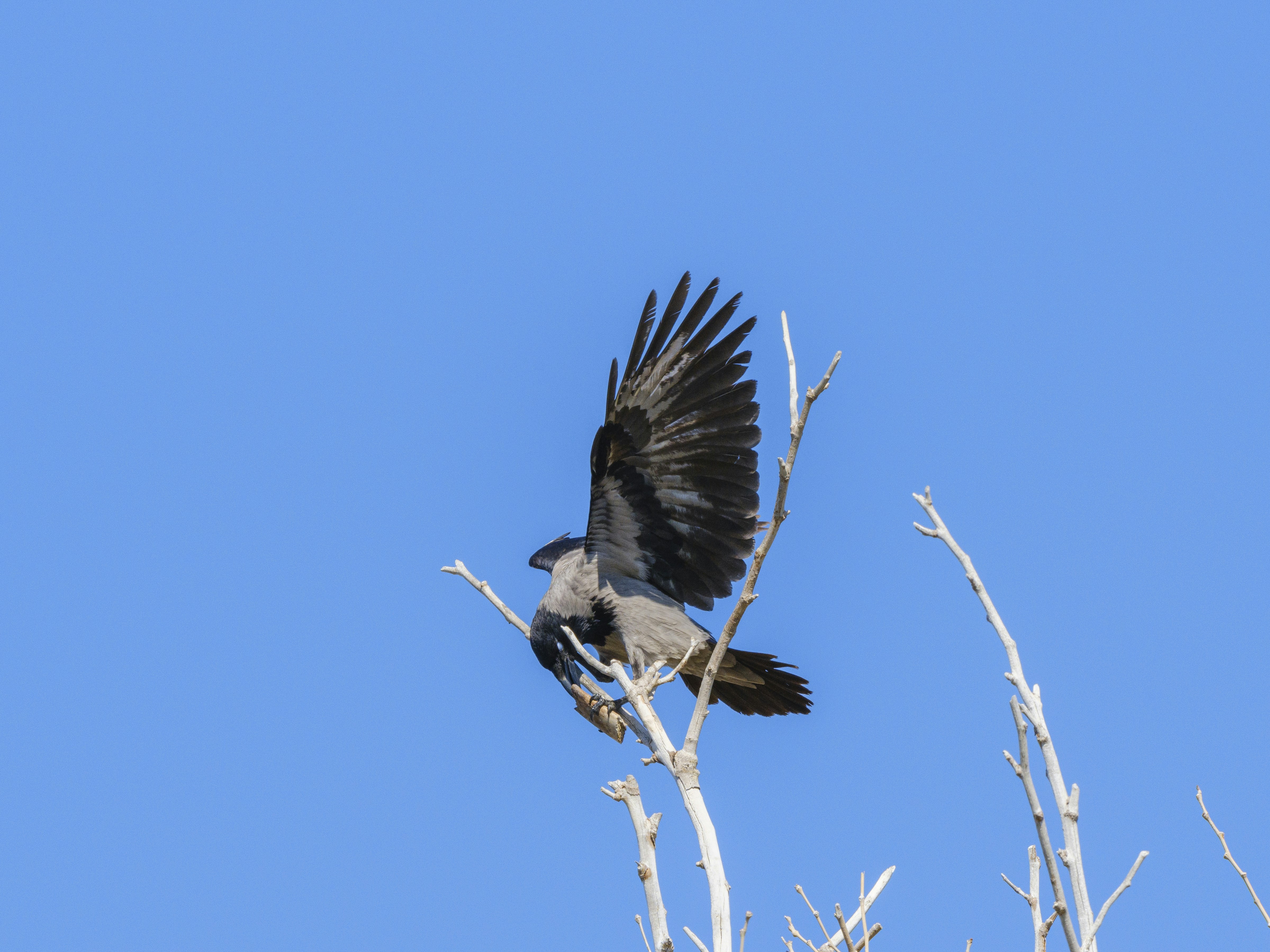 Photo by enginakyurt