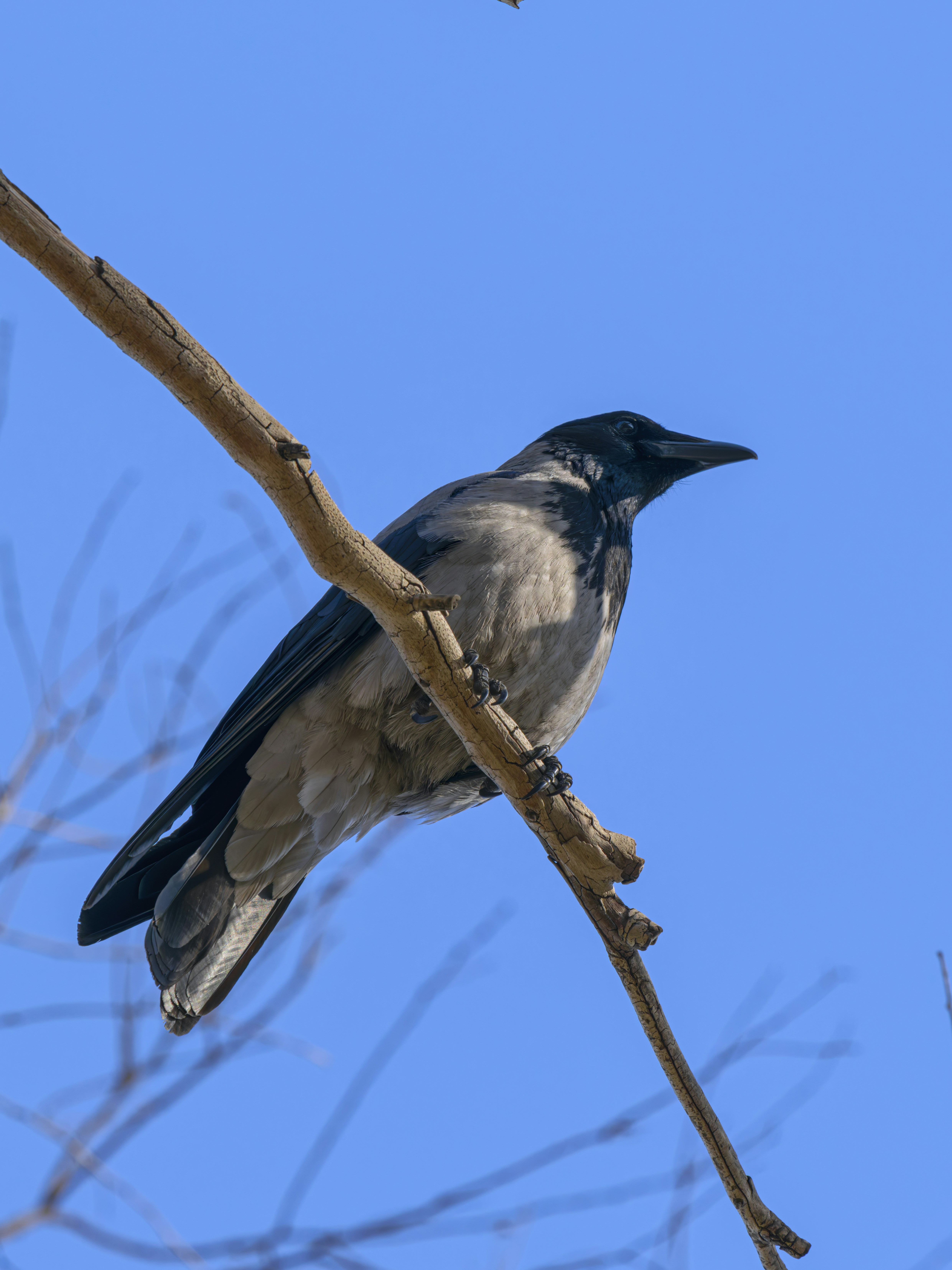 Photo by enginakyurt