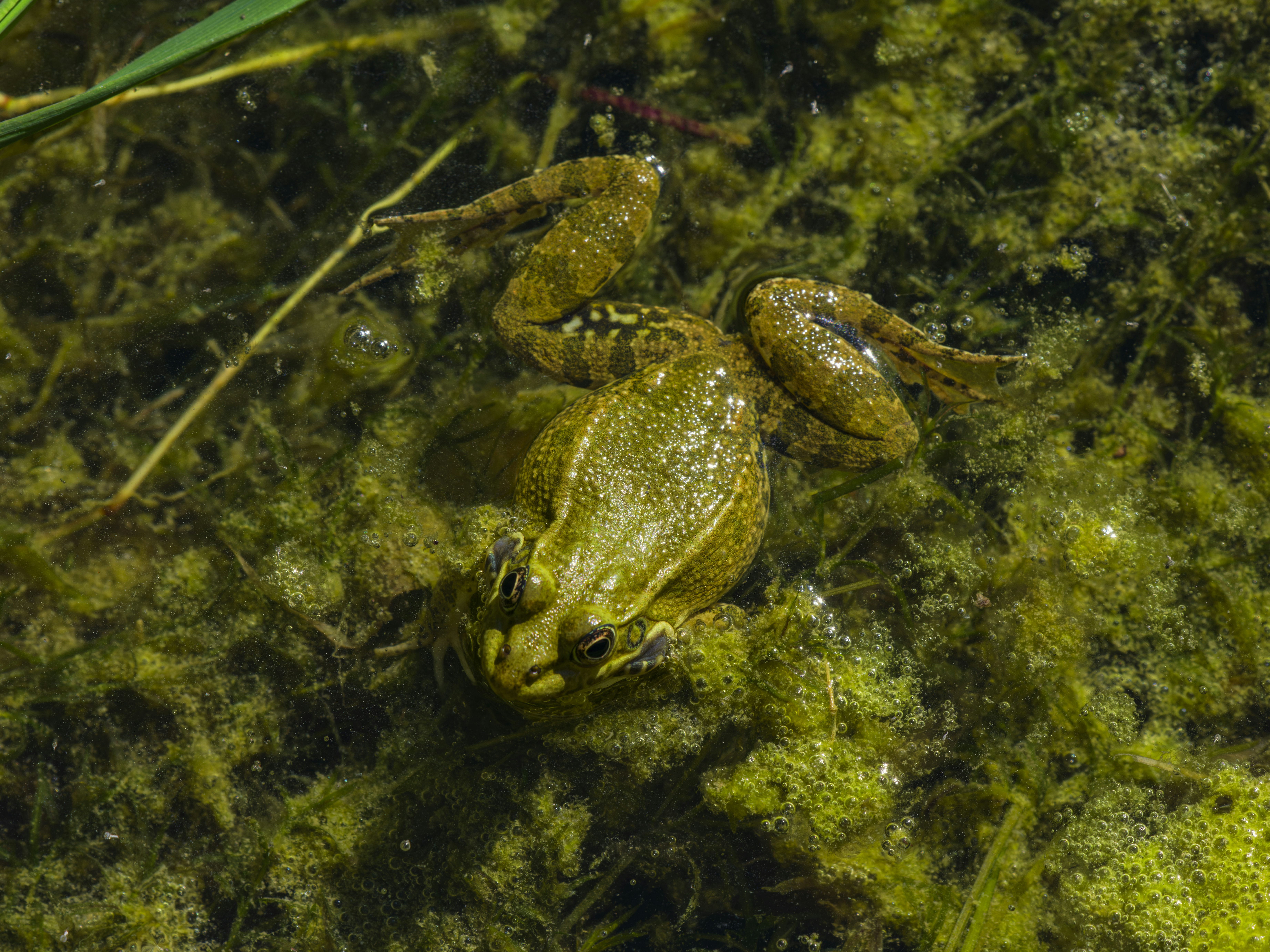 Photo by enginakyurt