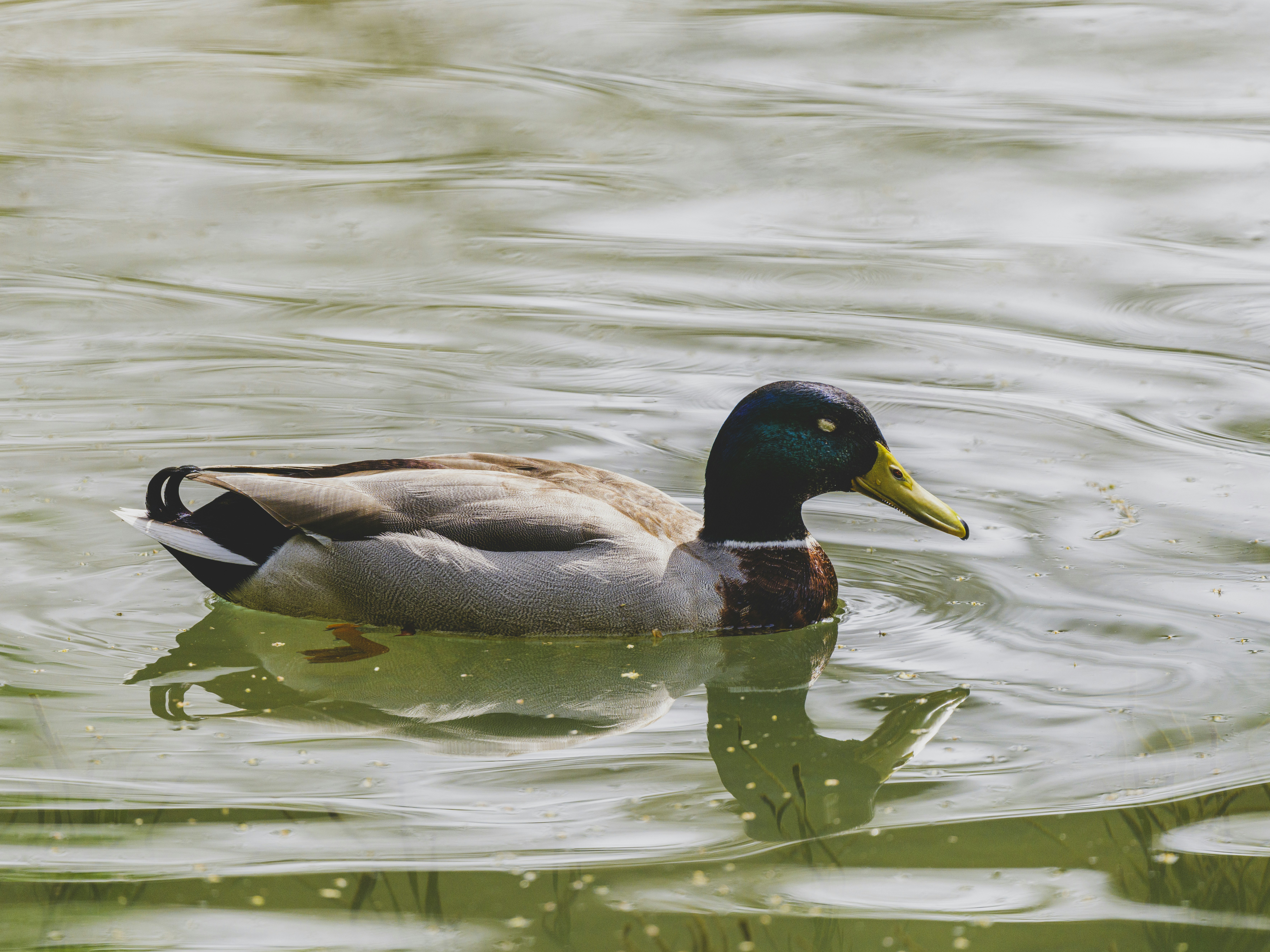 Photo by enginakyurt