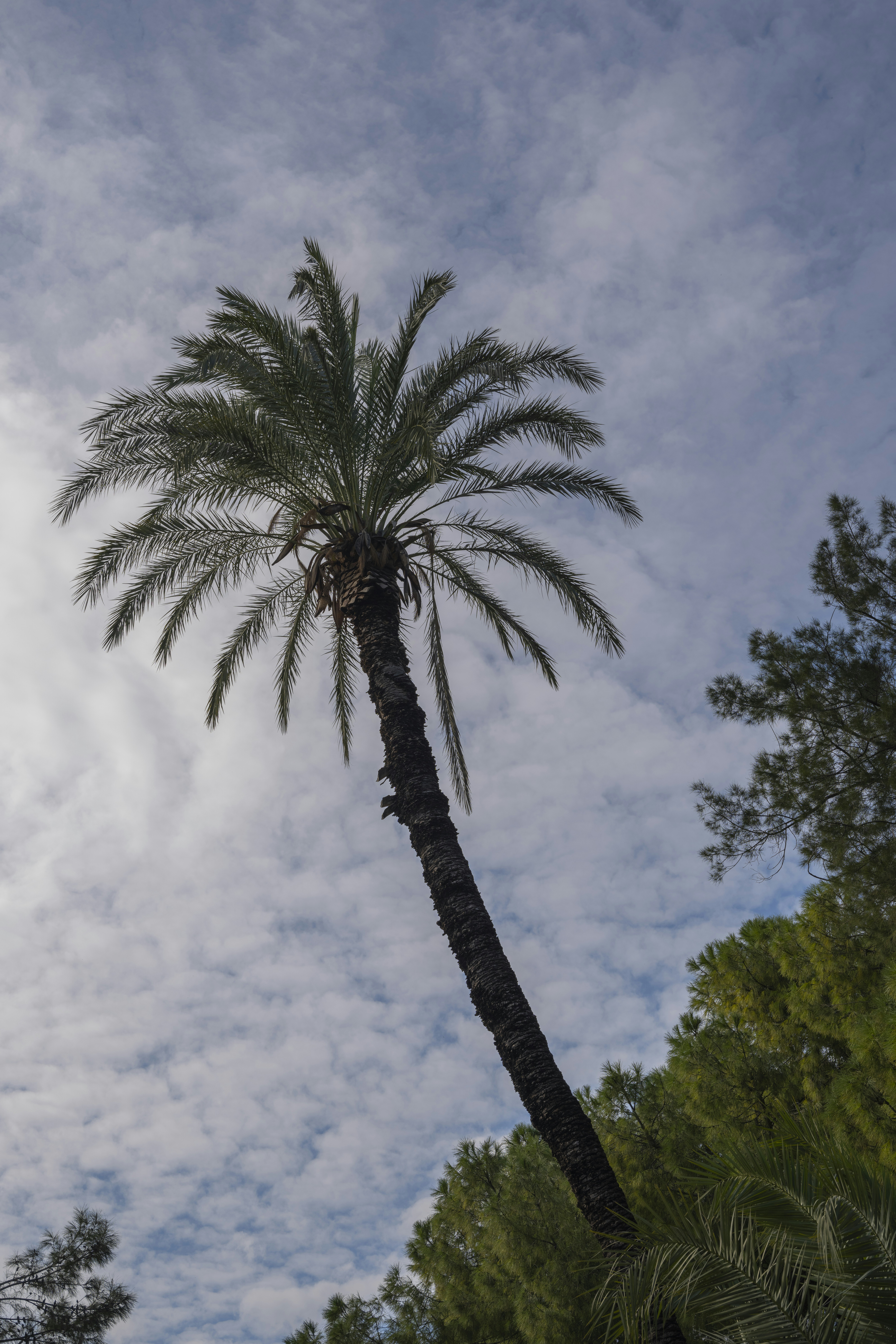 Photo by enginakyurt