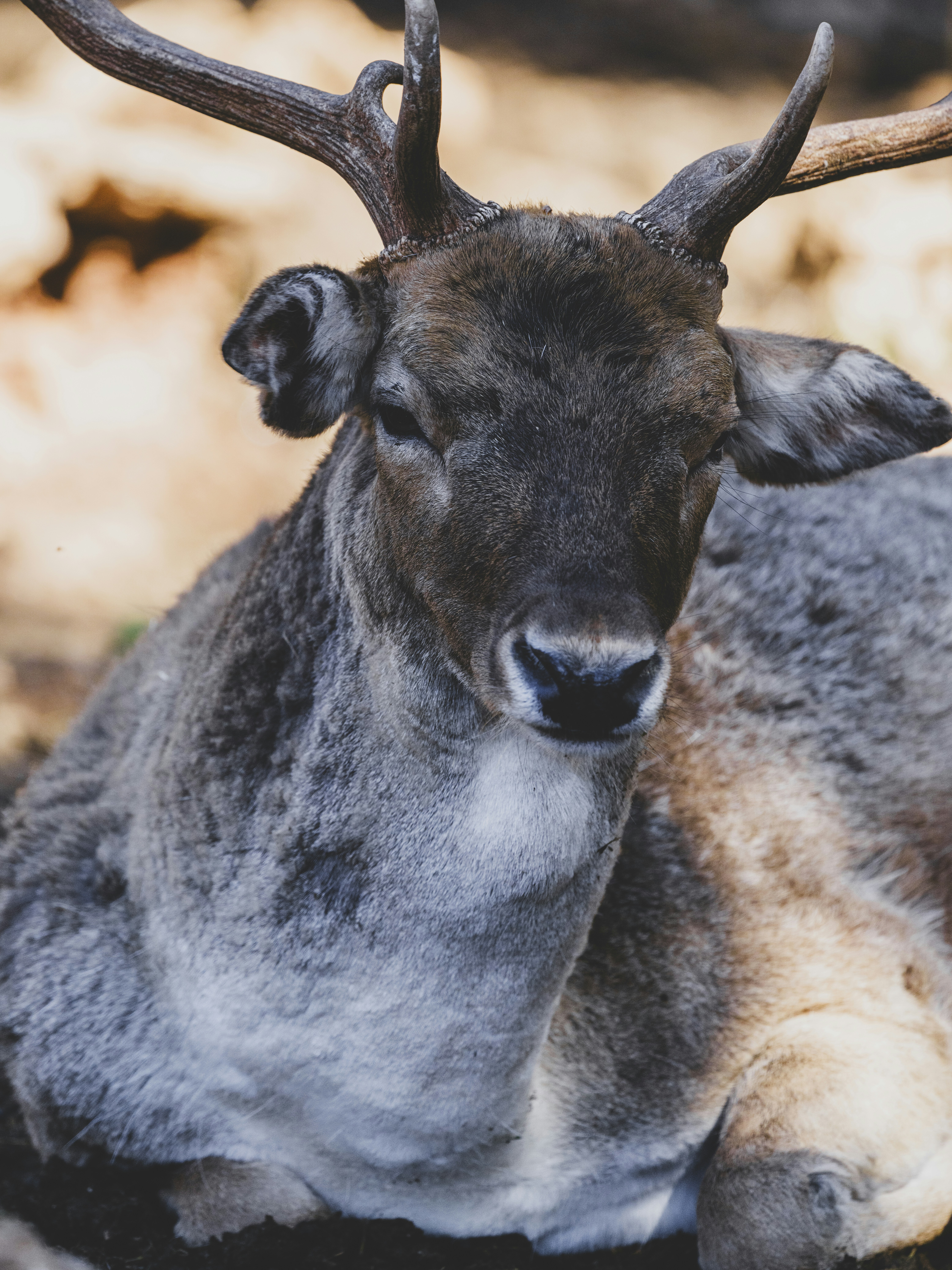 Photo by enginakyurt