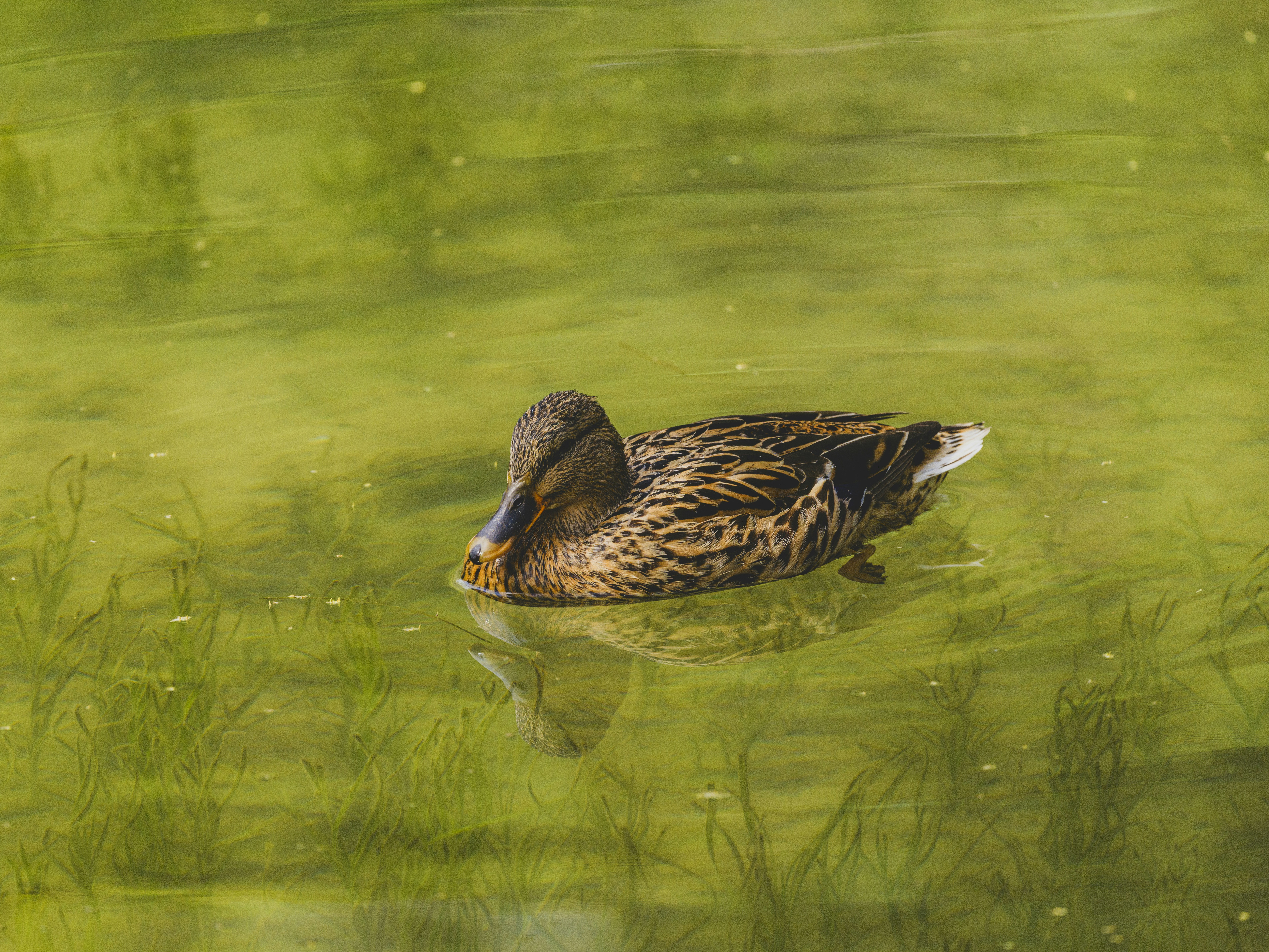 Photo by enginakyurt