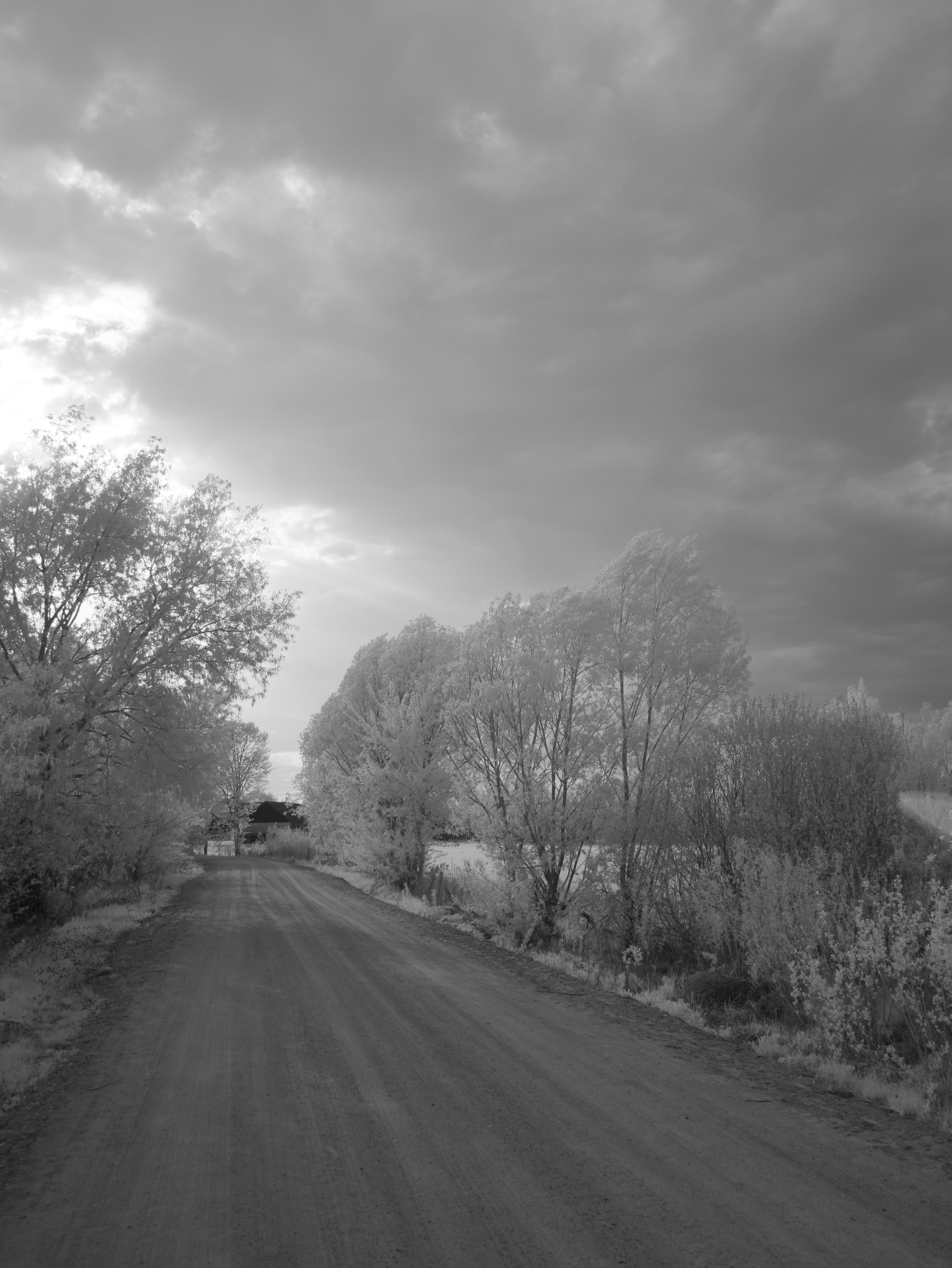 Photo by wolfgang_hasselmann