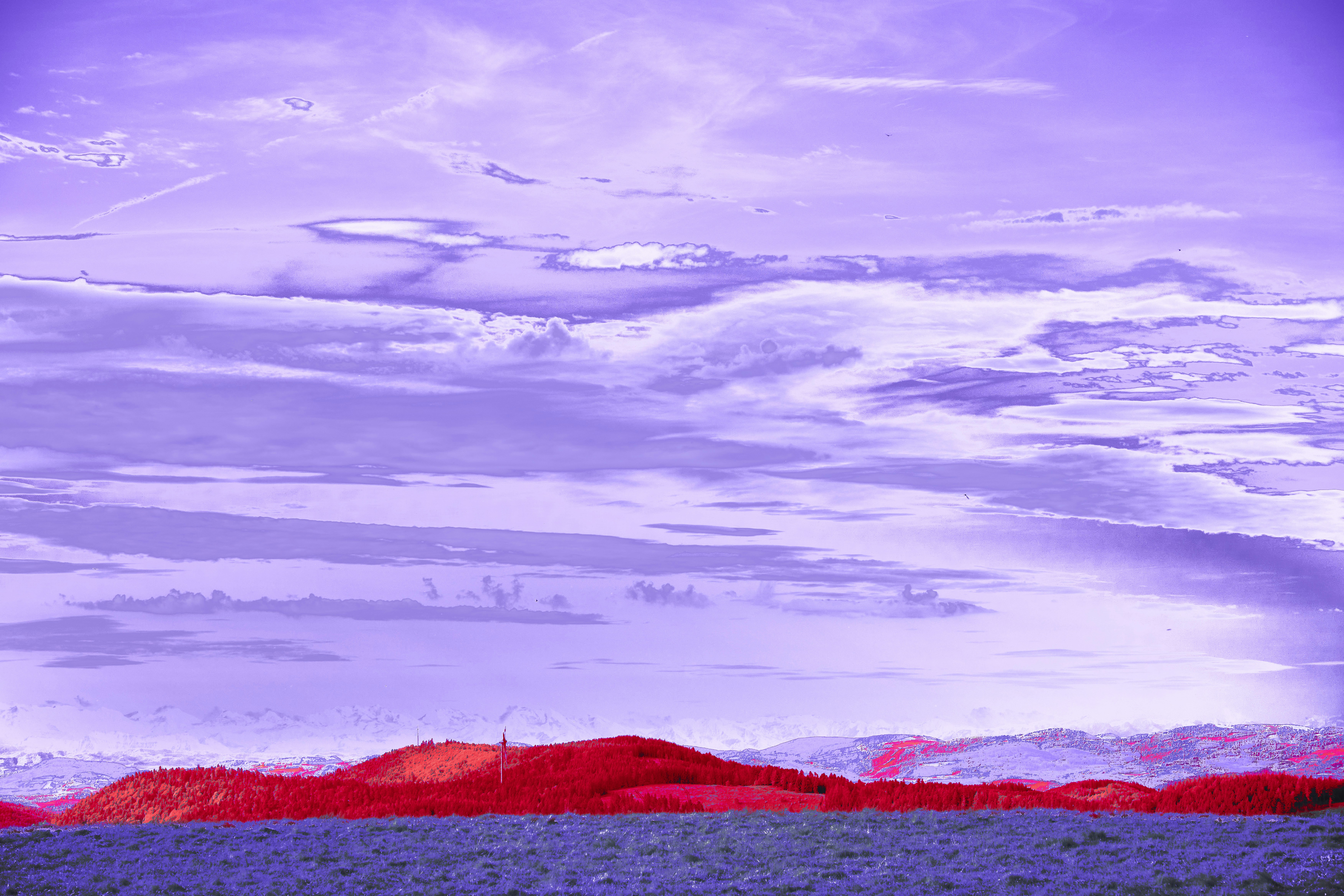 Photo by wolfgang_hasselmann