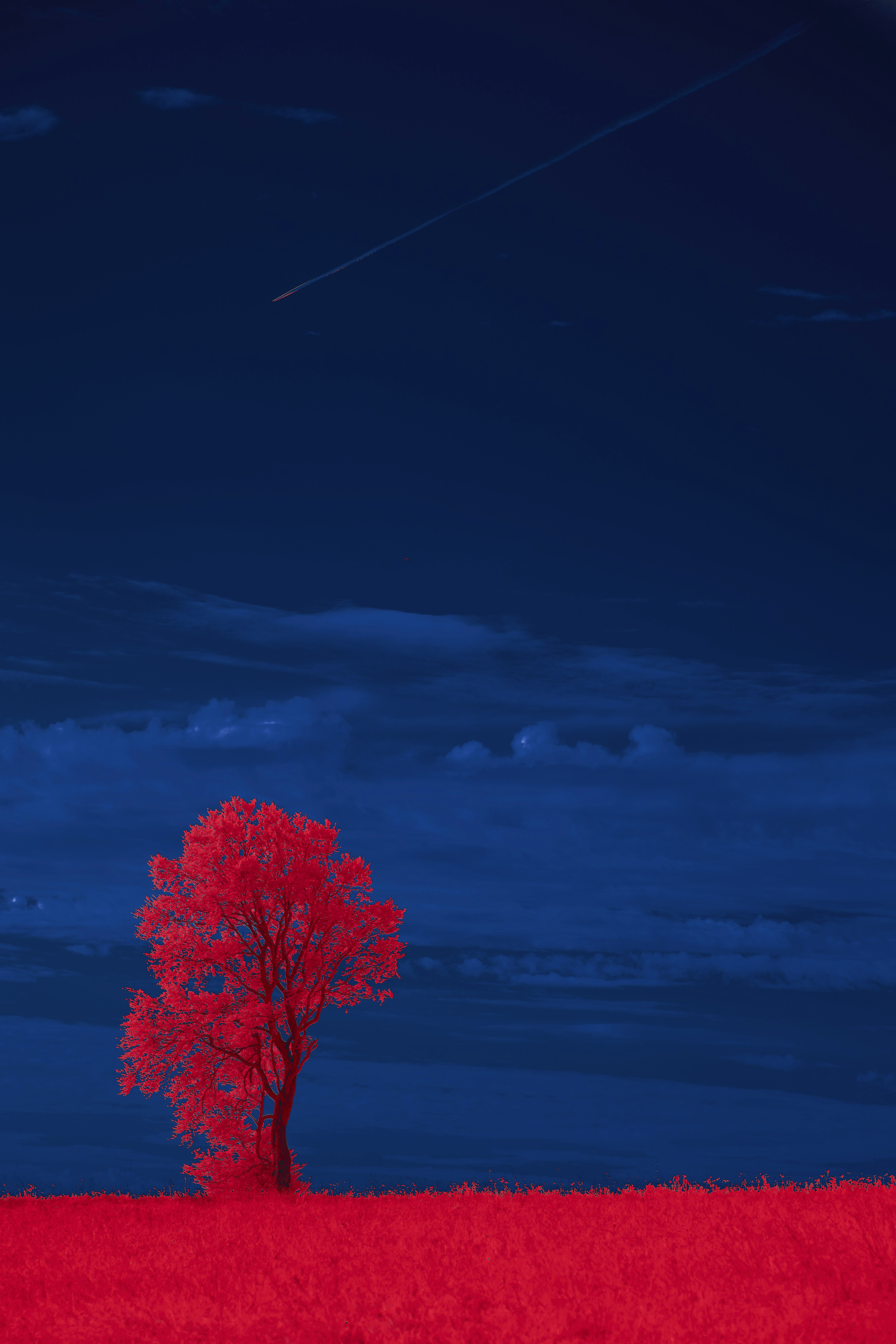 Photo by wolfgang_hasselmann