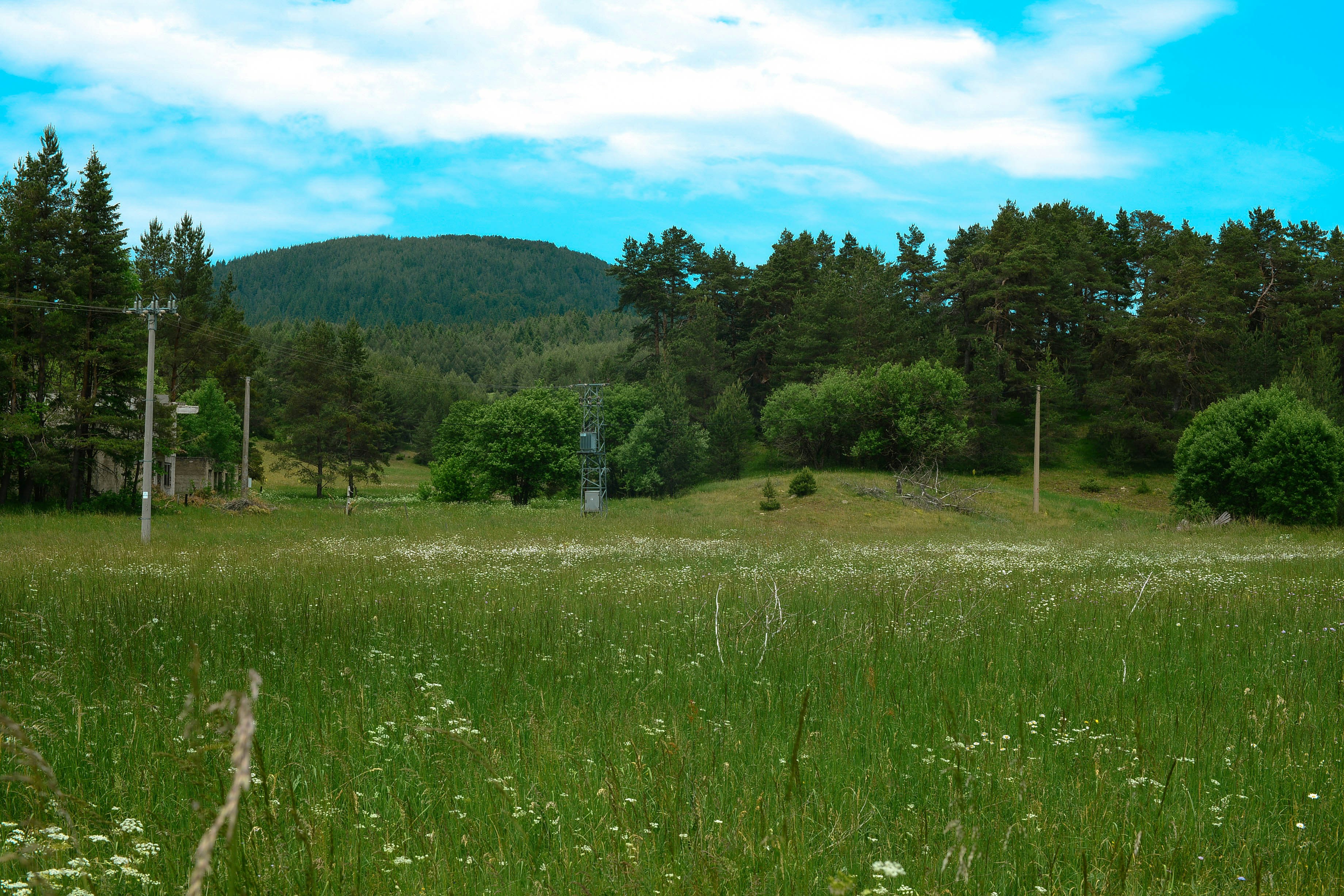 Photo by caroliniecavalli