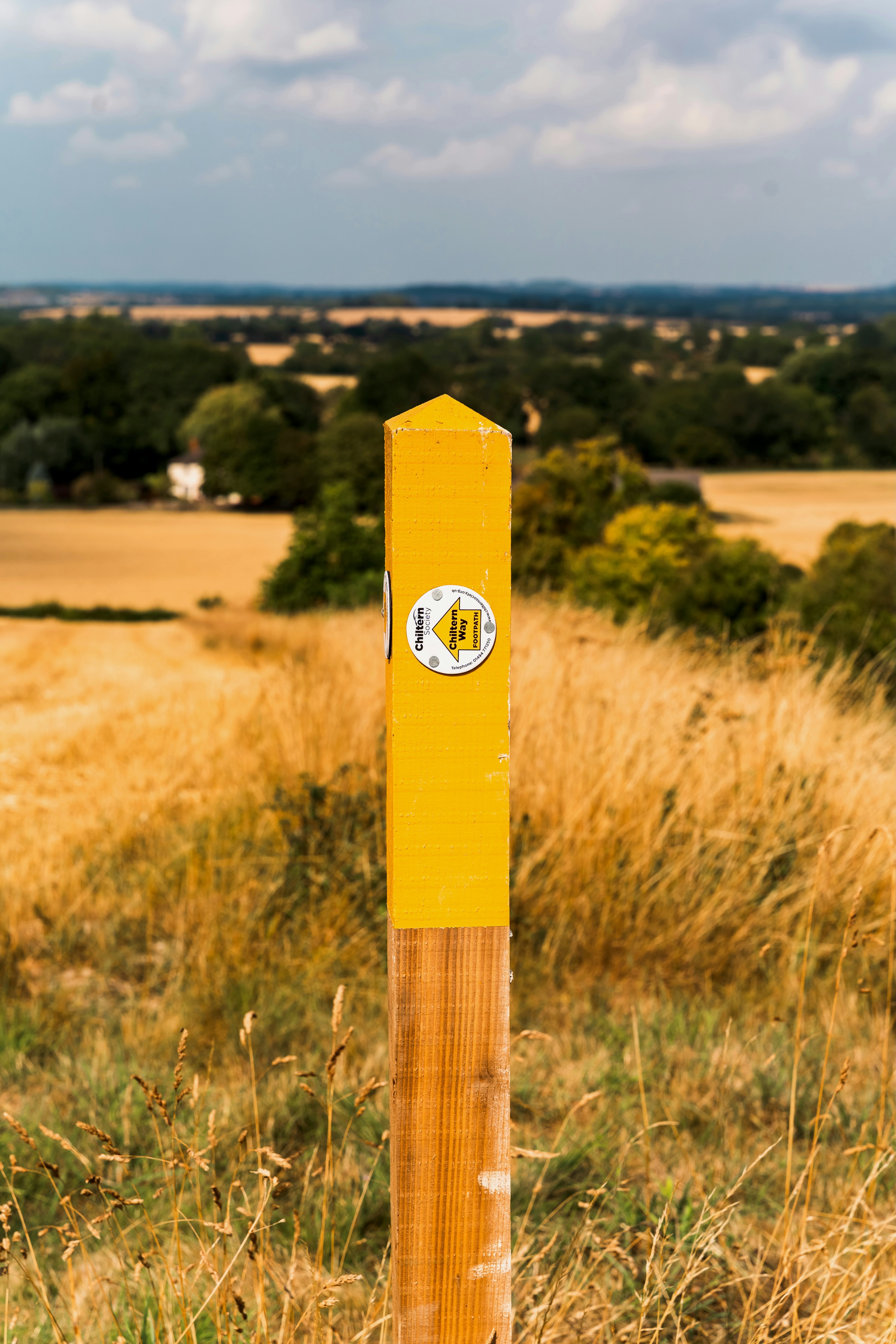 Un marqueur de sentier jaune guide les randonneurs le long du sentier.