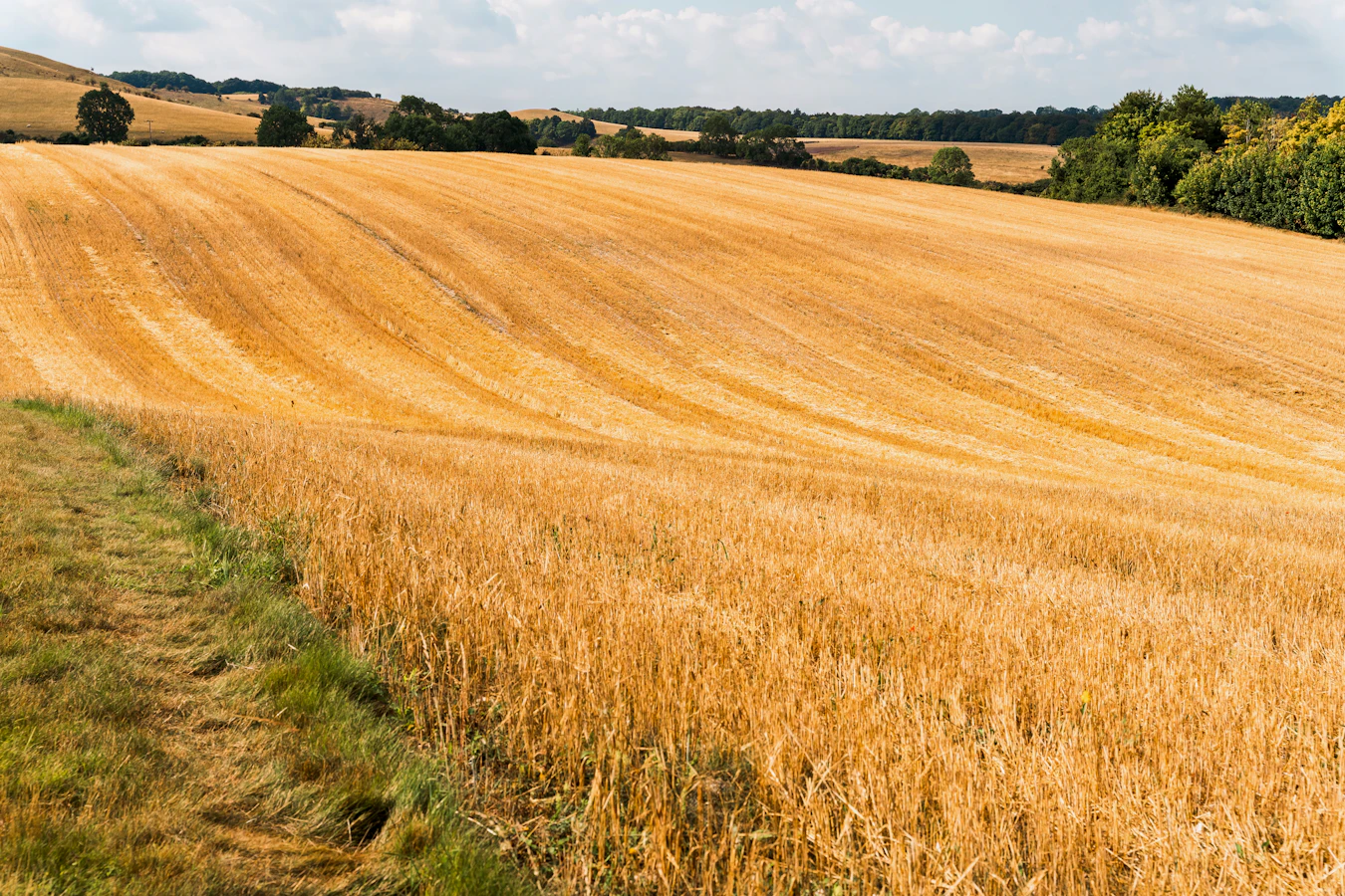 Harvested farmland in Hertfordshire — where Reclaimer's 92-farm UK trial pipeline is being built