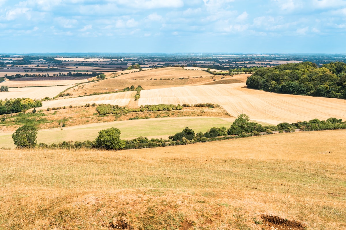 Rolling green fields and open countryside in the Lee Valley near Broxbourne, Hertfordshire