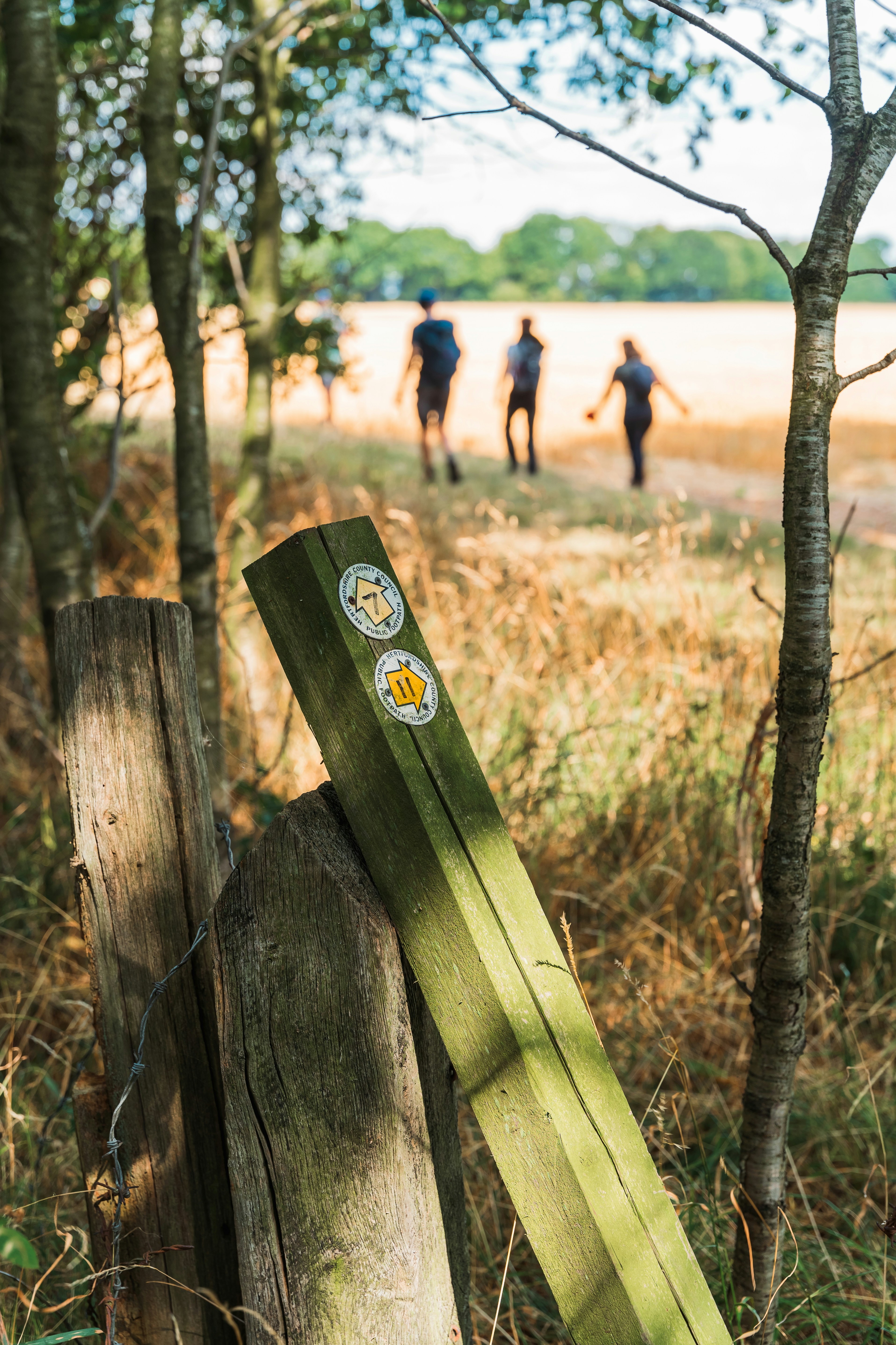 Les randonneurs marchent sur un chemin balisé par des panneaux.