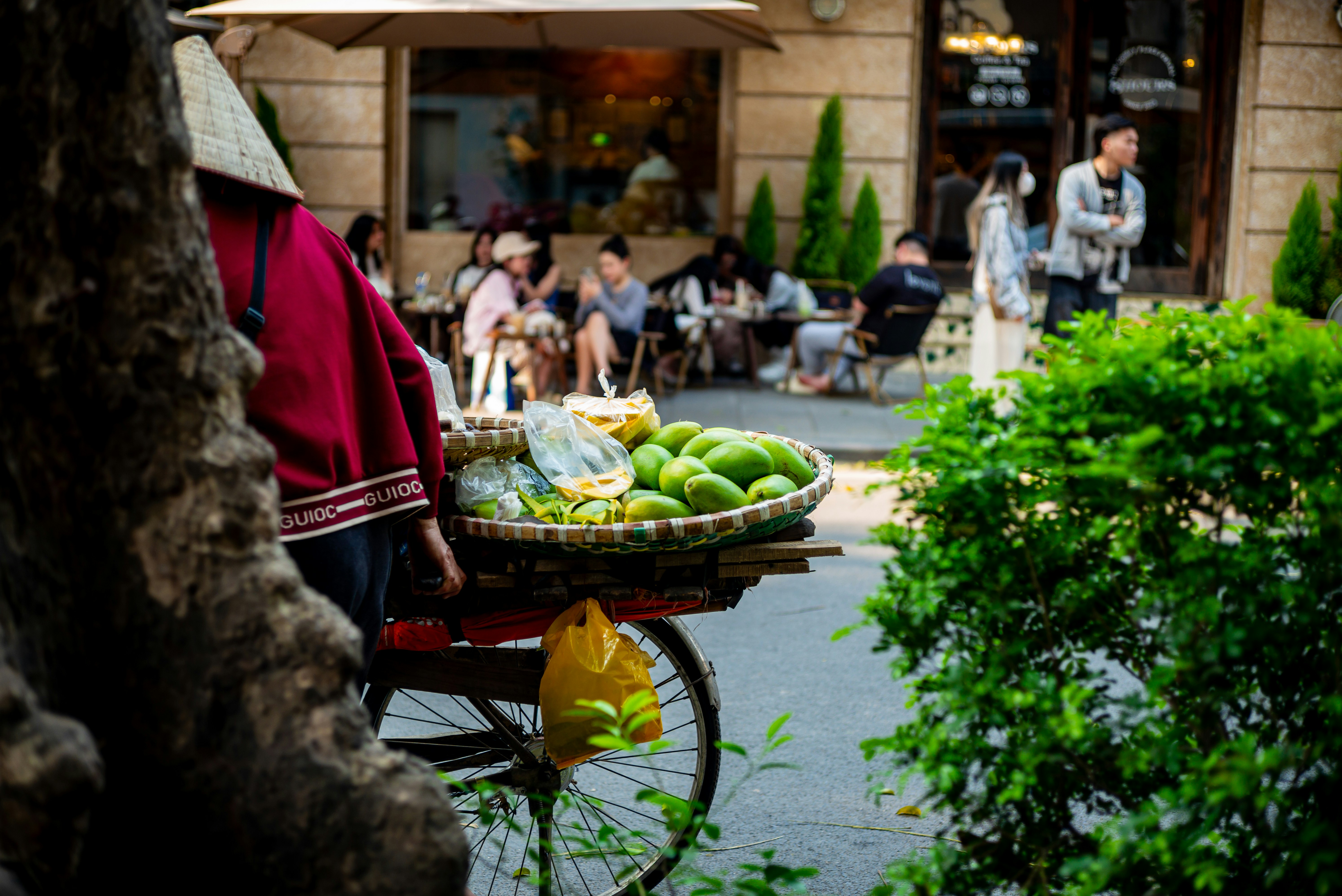 Photo by donguyenkhanhs