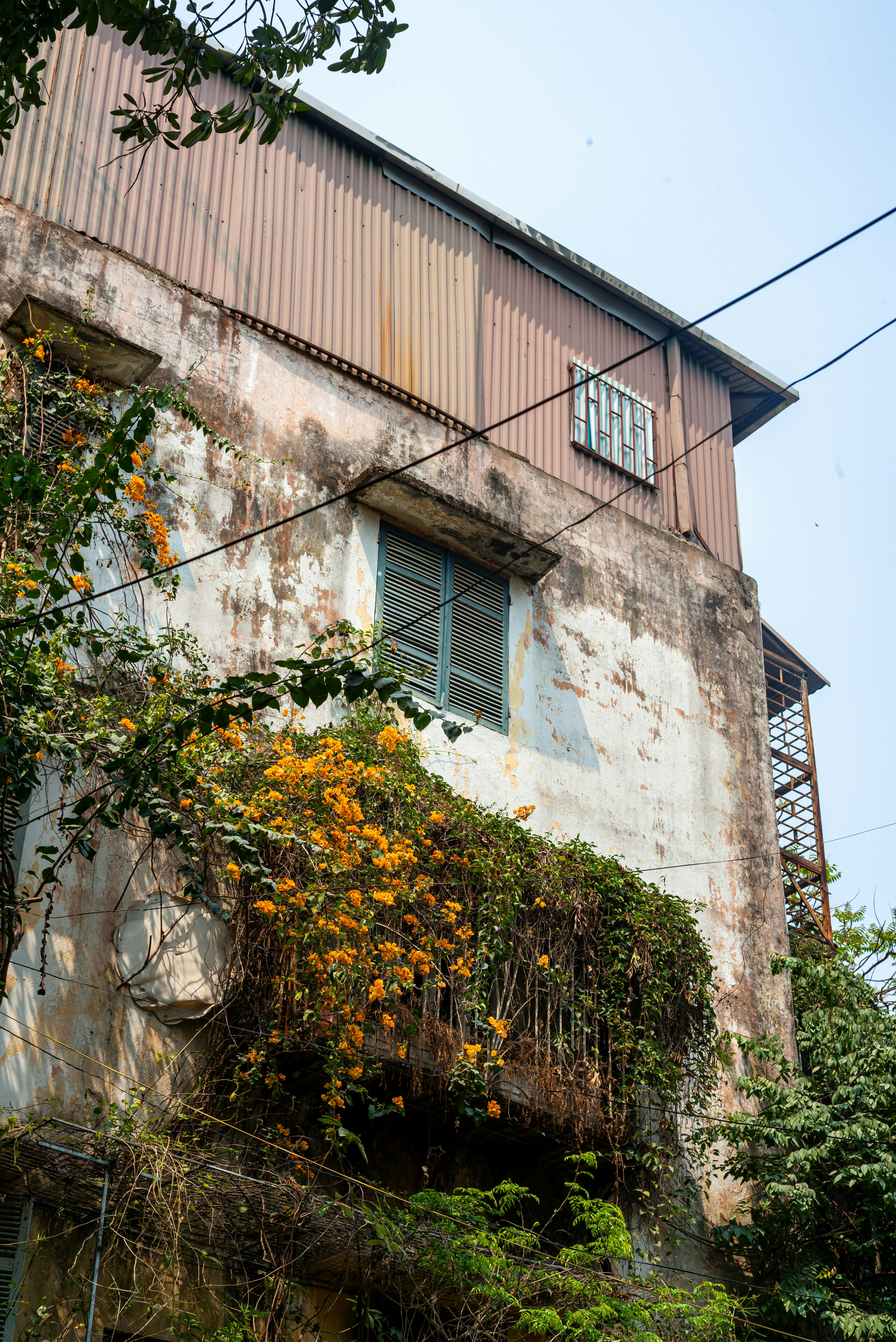 Photo by donguyenkhanhs