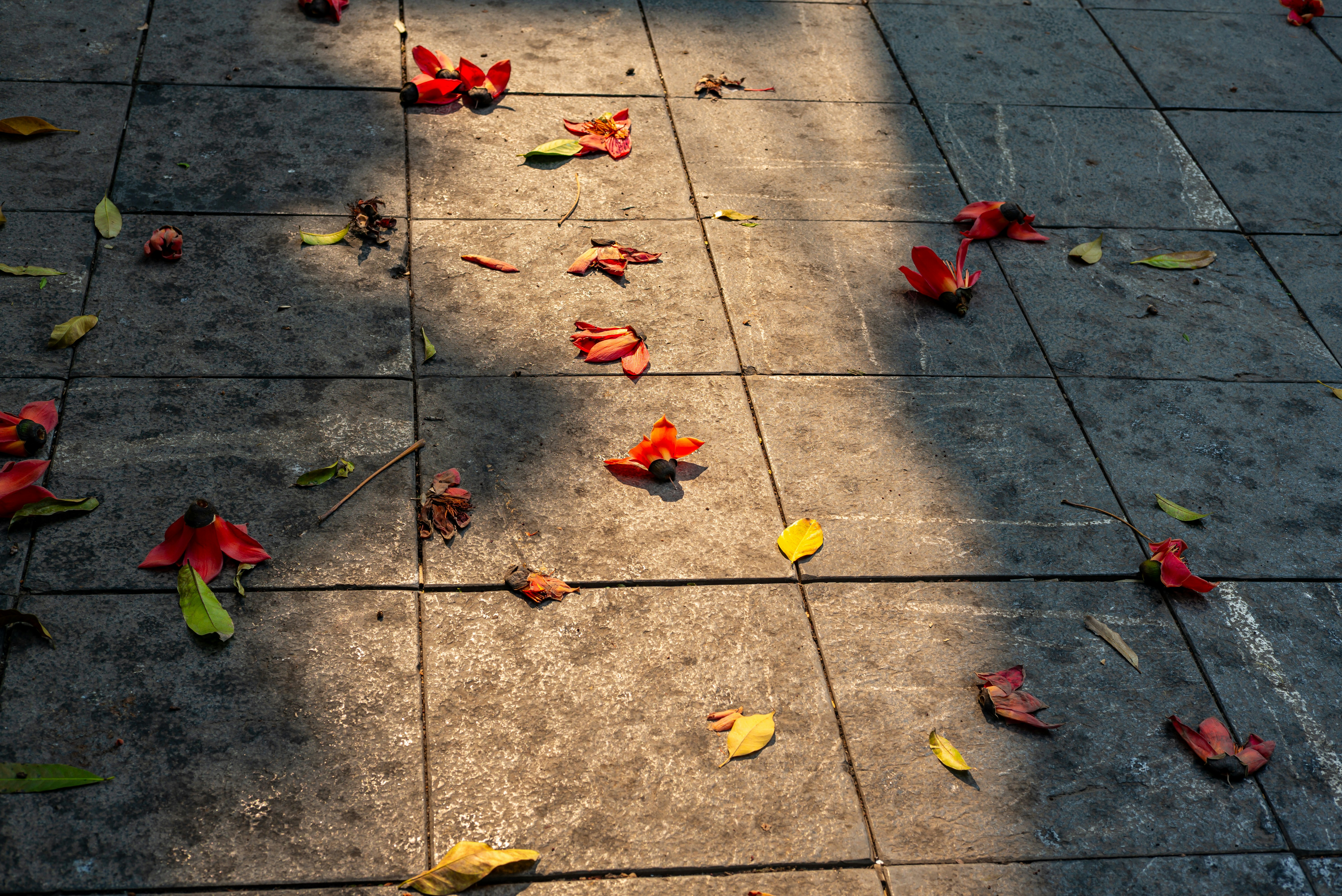 Photo by donguyenkhanhs