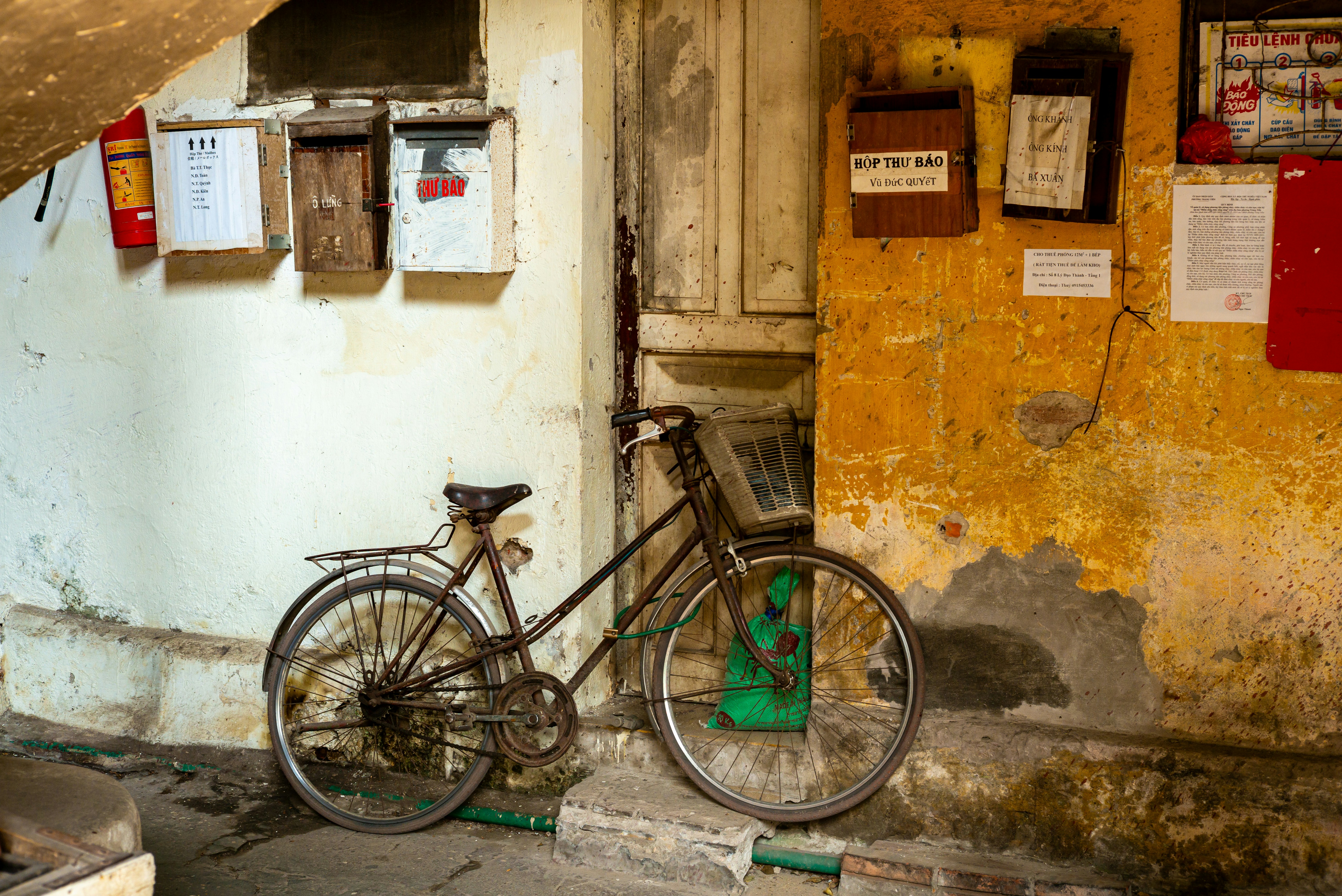 Photo by donguyenkhanhs