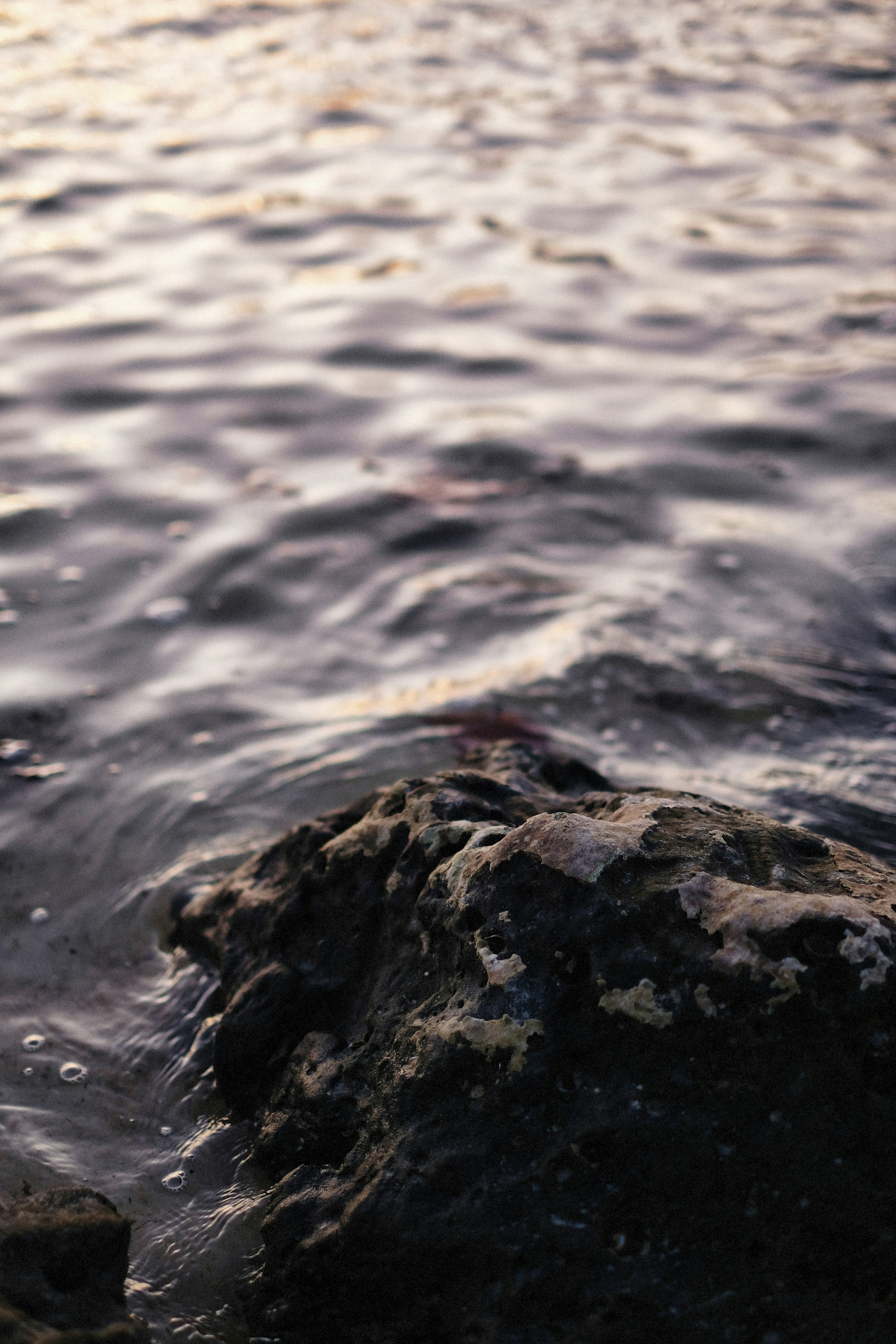 Photo by alexeydemidov