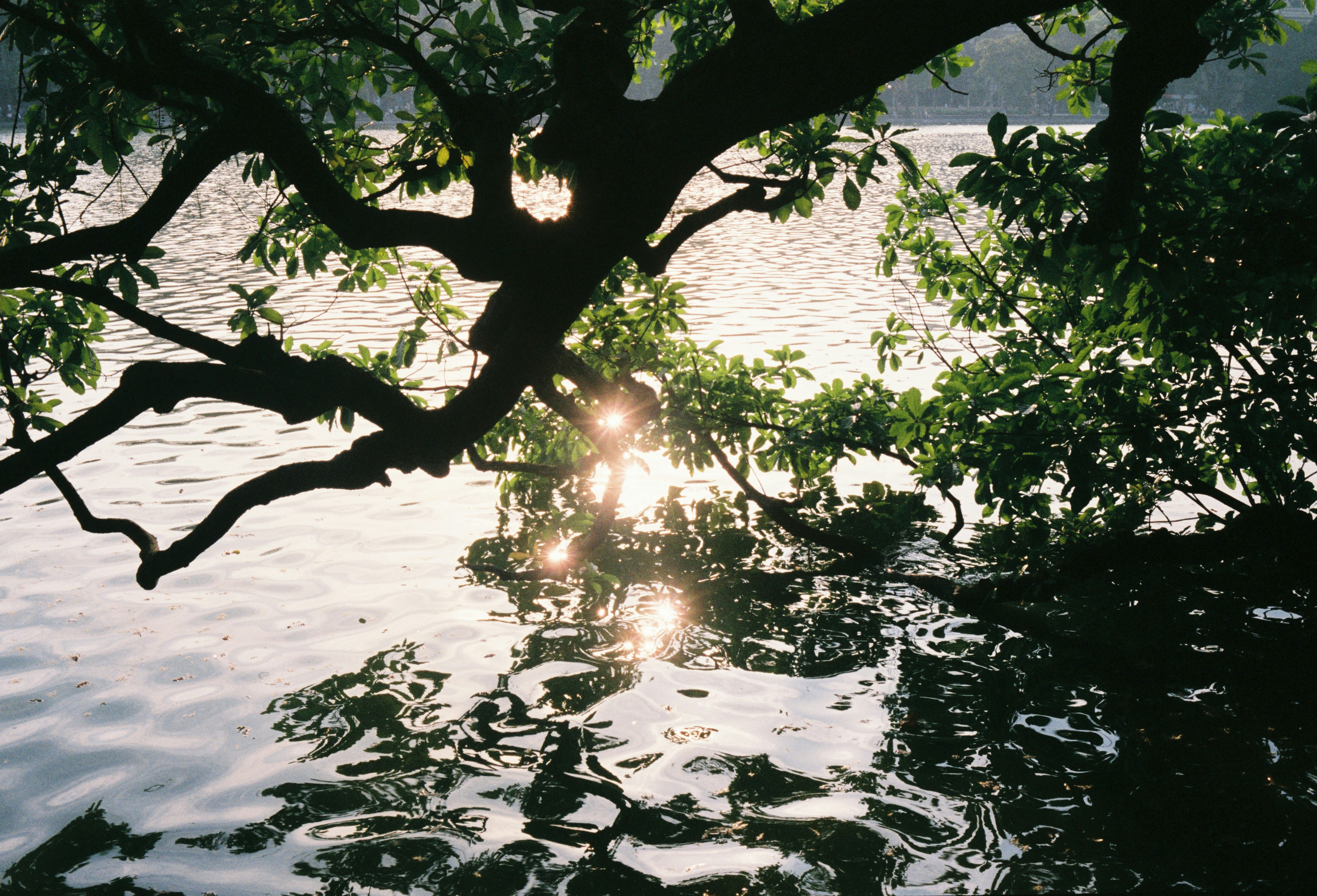 Photo by donguyenkhanhs