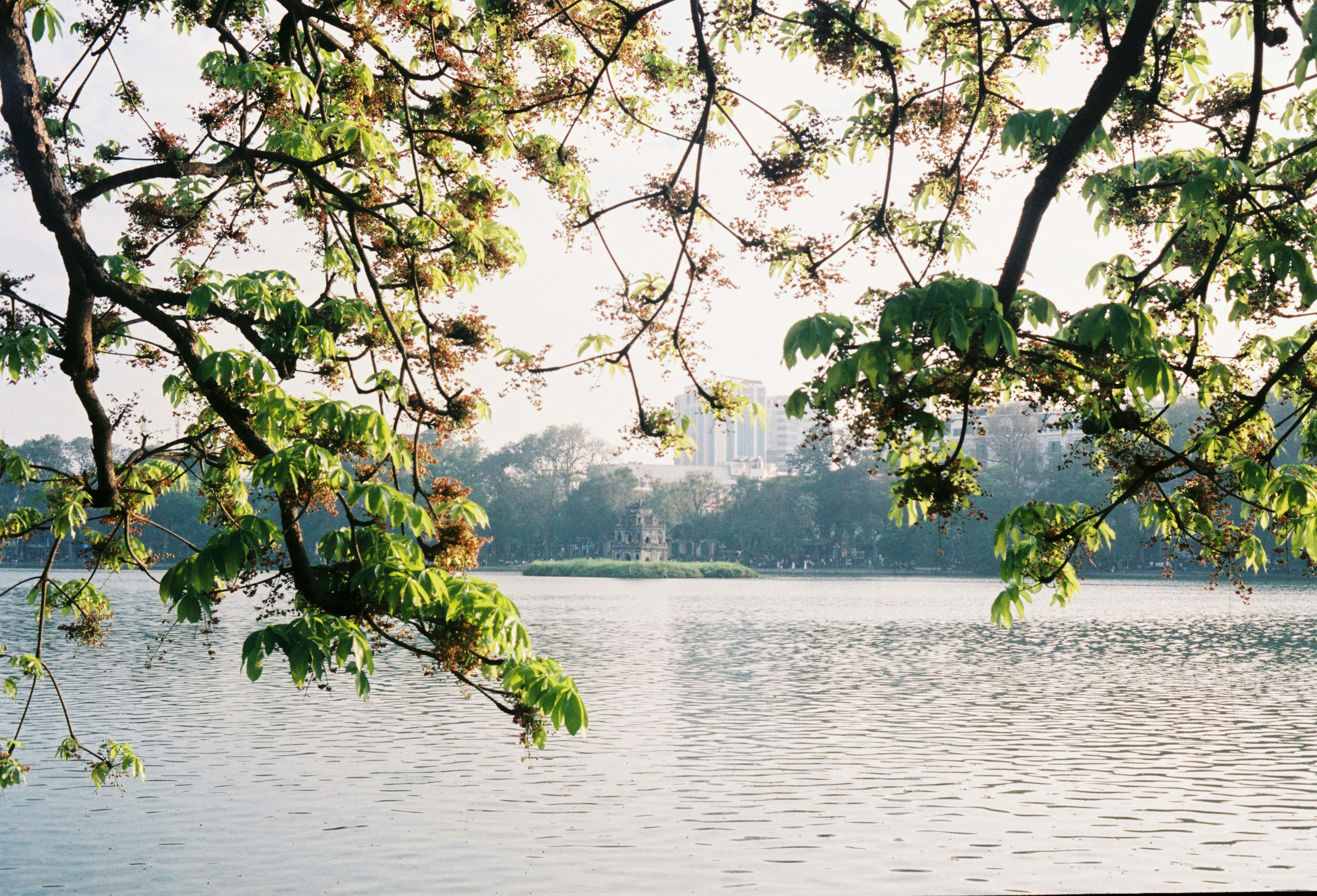 Photo by donguyenkhanhs