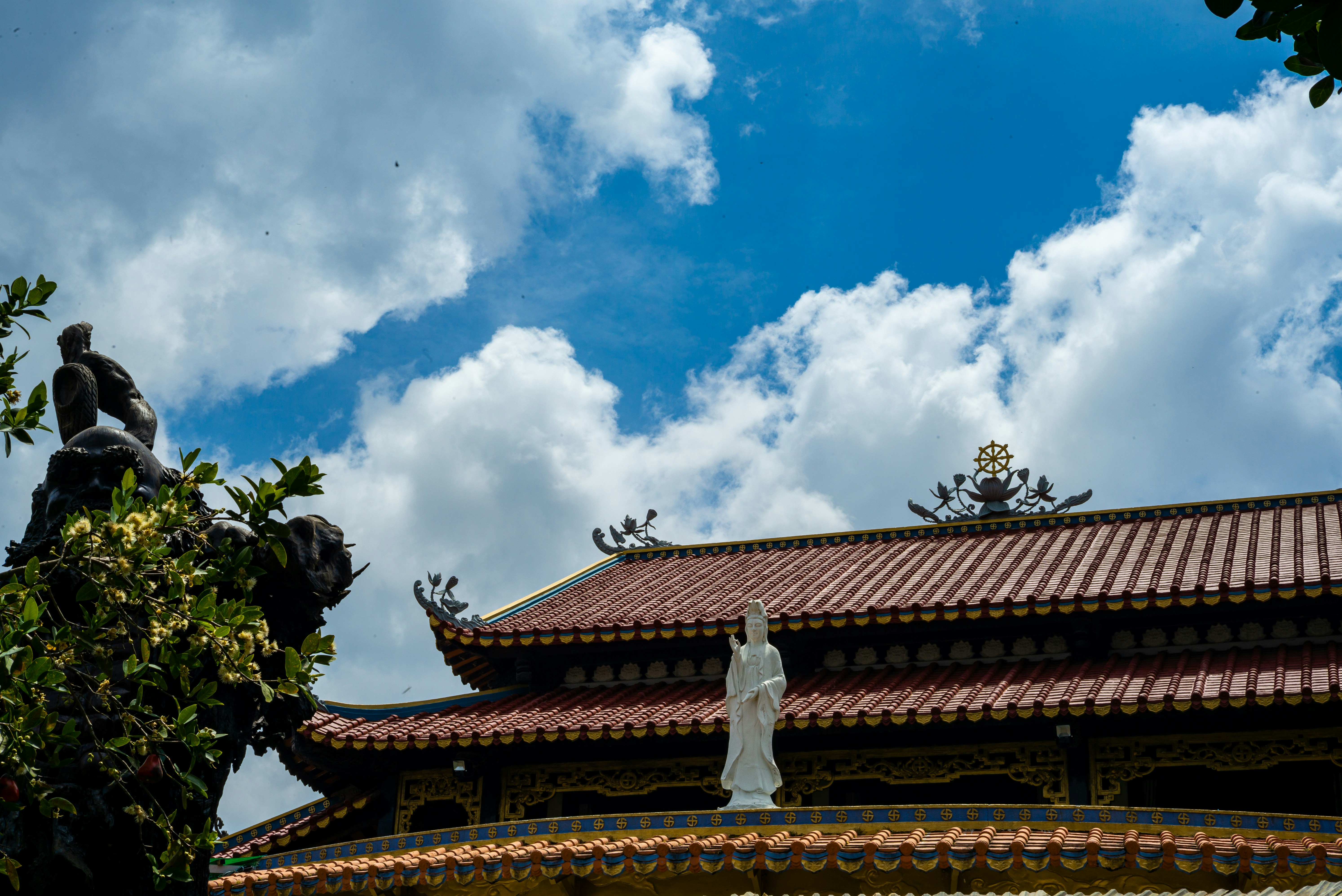 Photo by donguyenkhanhs