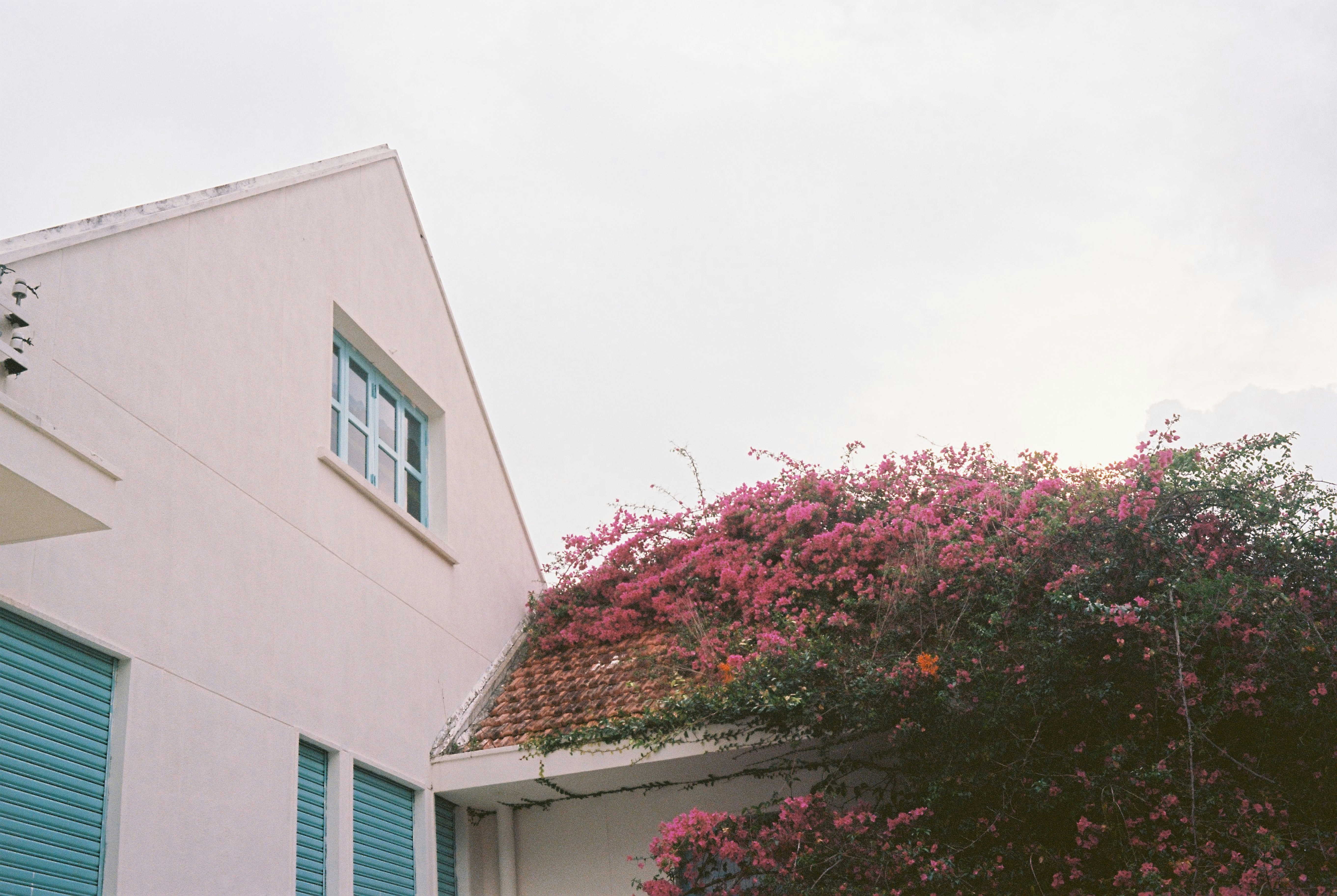 Photo by donguyenkhanhs