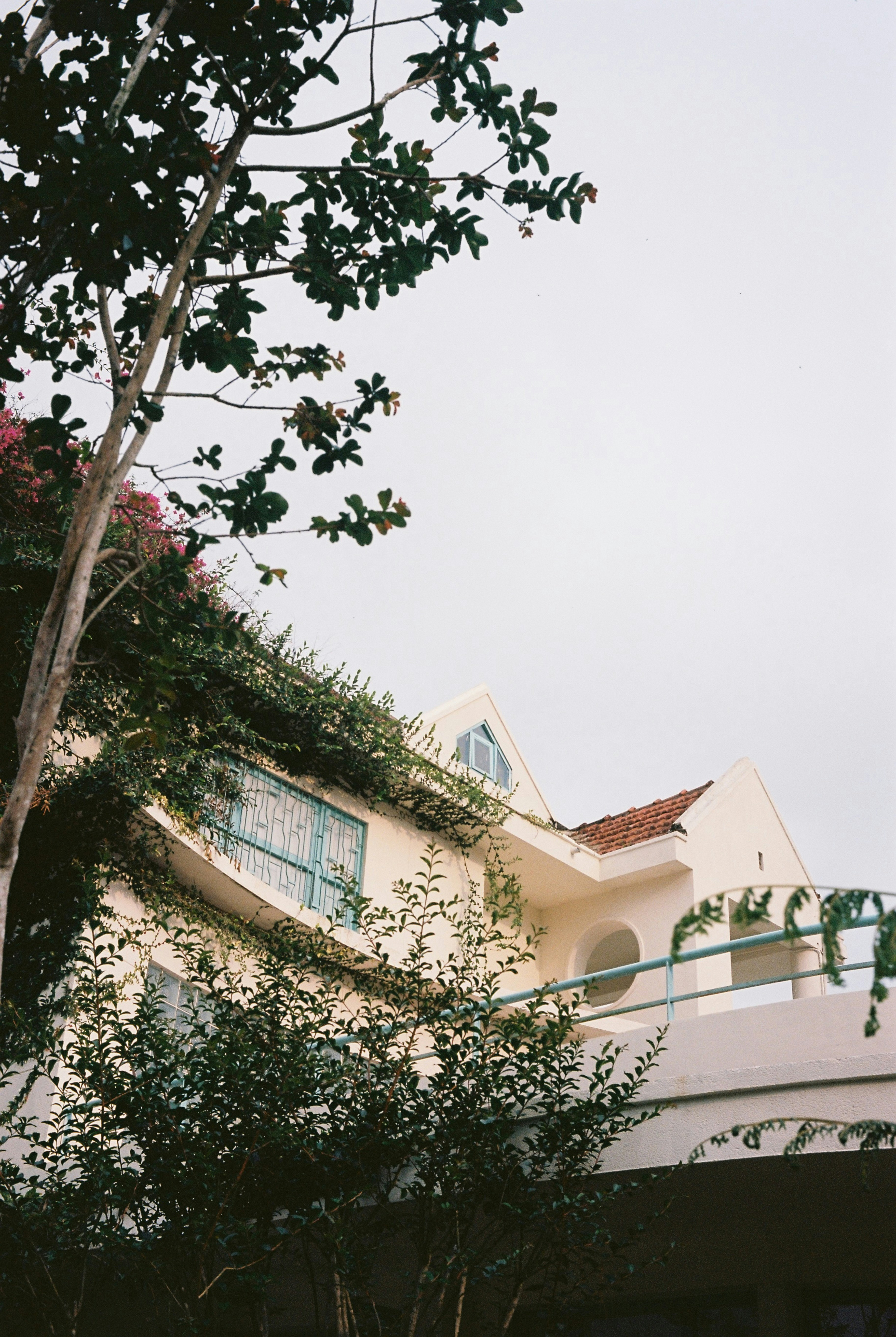 Photo by donguyenkhanhs