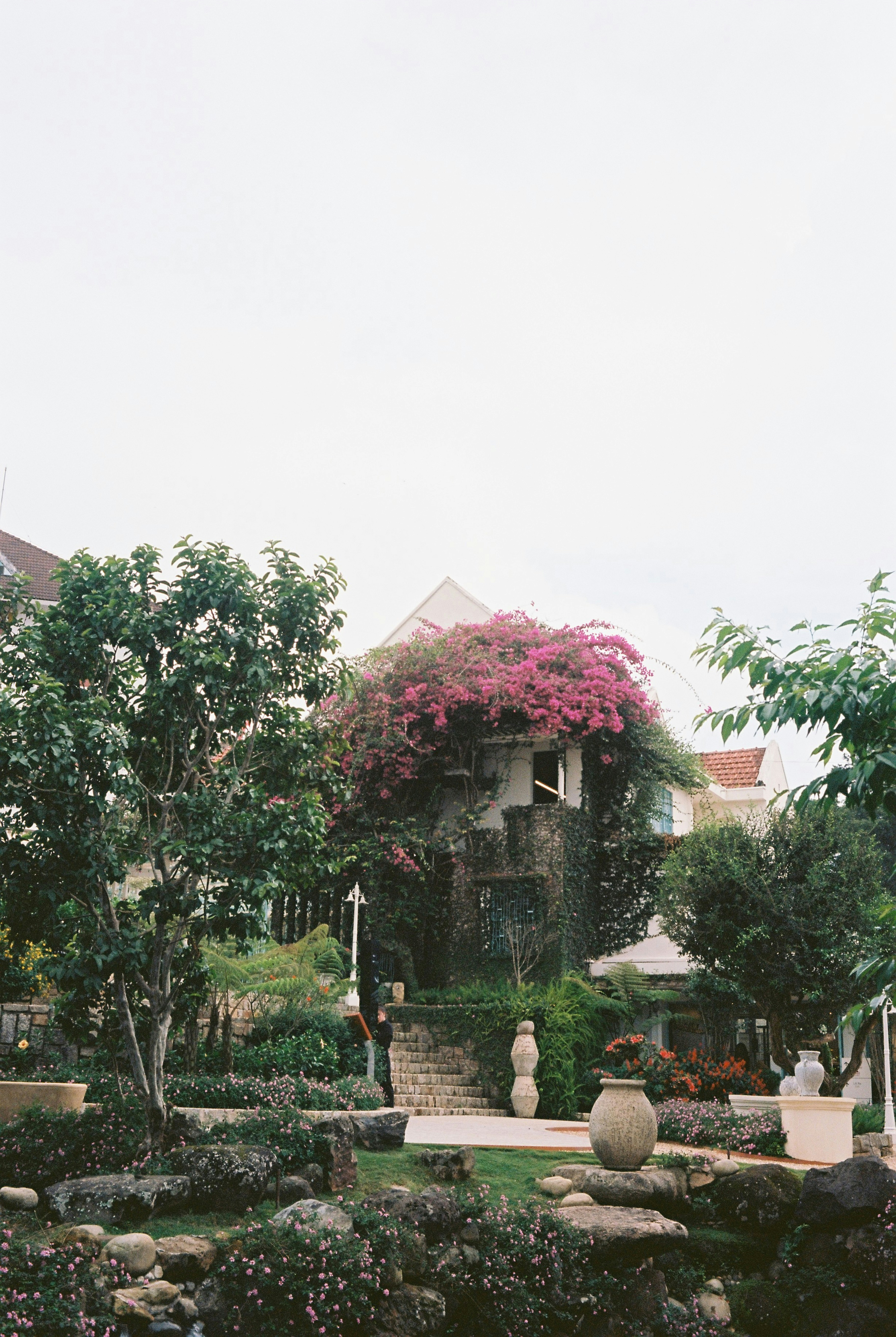 Photo by donguyenkhanhs