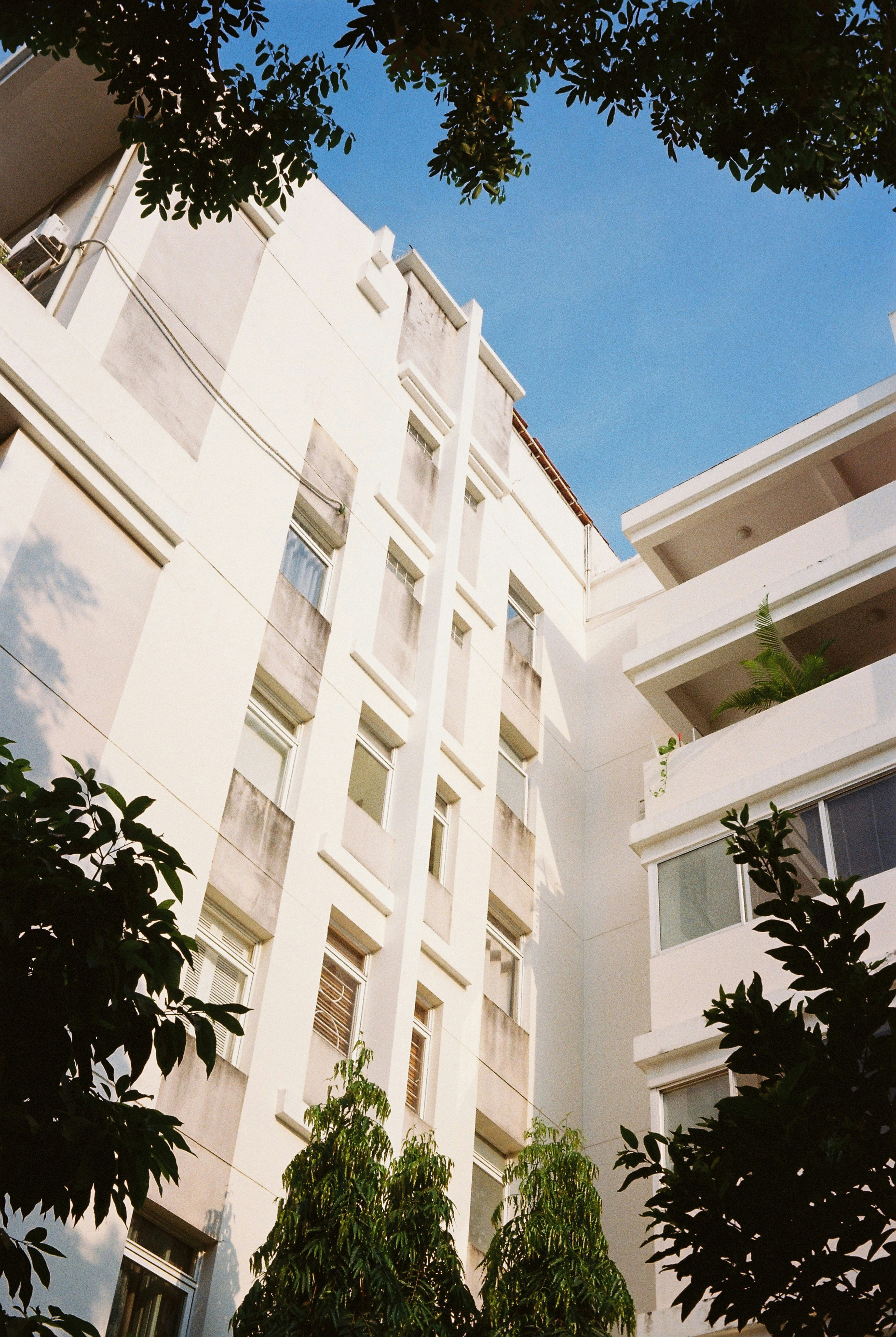 Photo by donguyenkhanhs