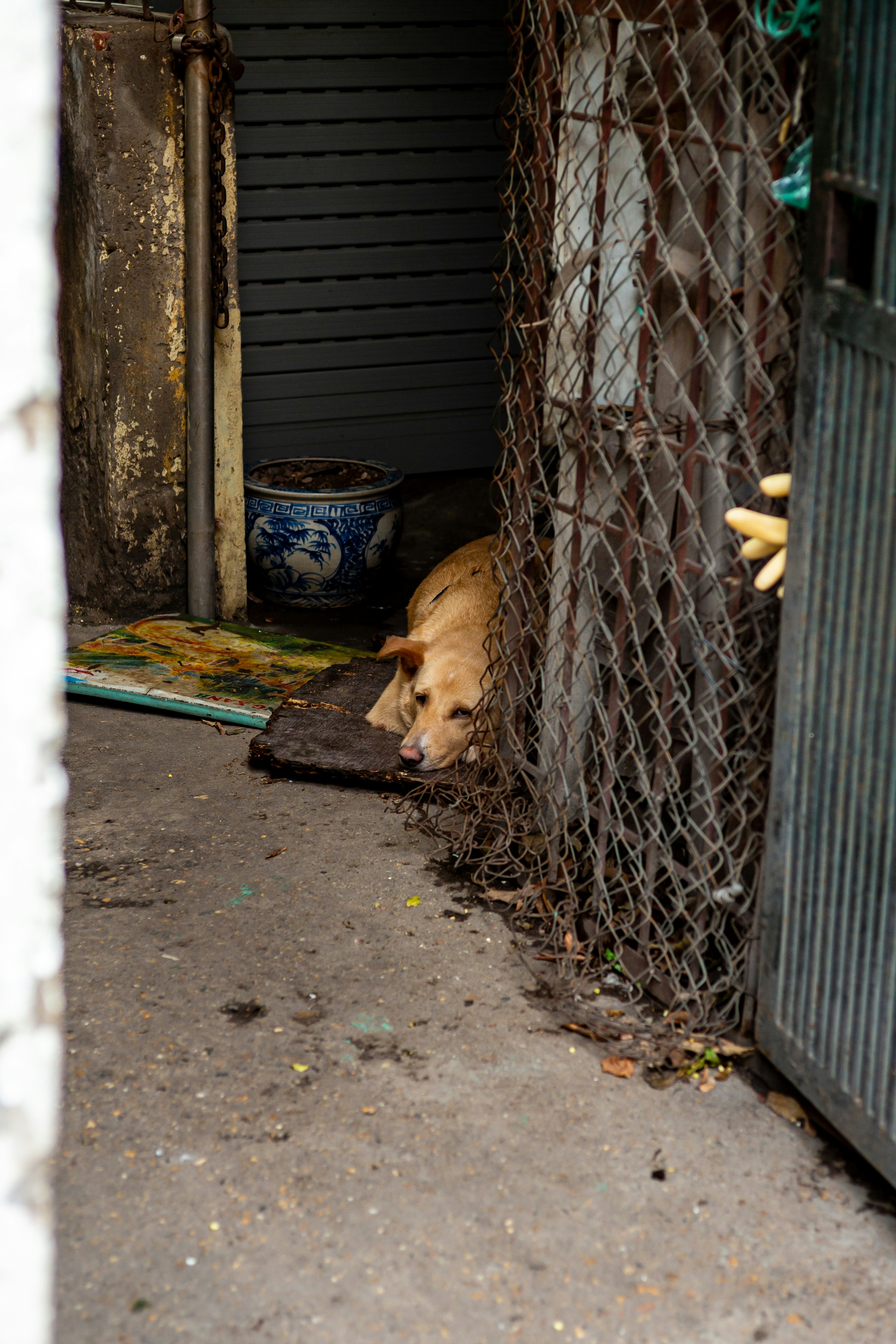 Photo by donguyenkhanhs