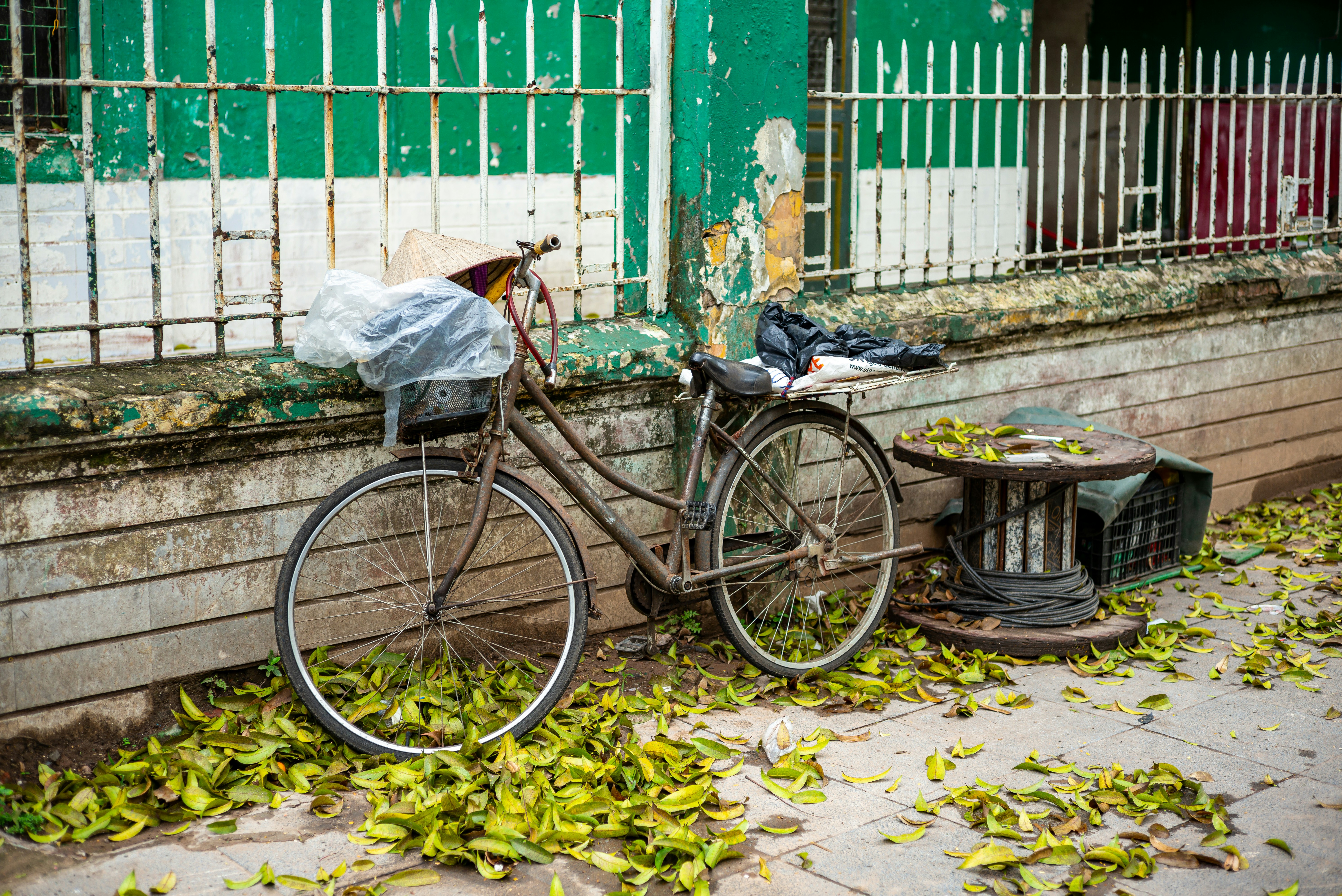 Photo by donguyenkhanhs
