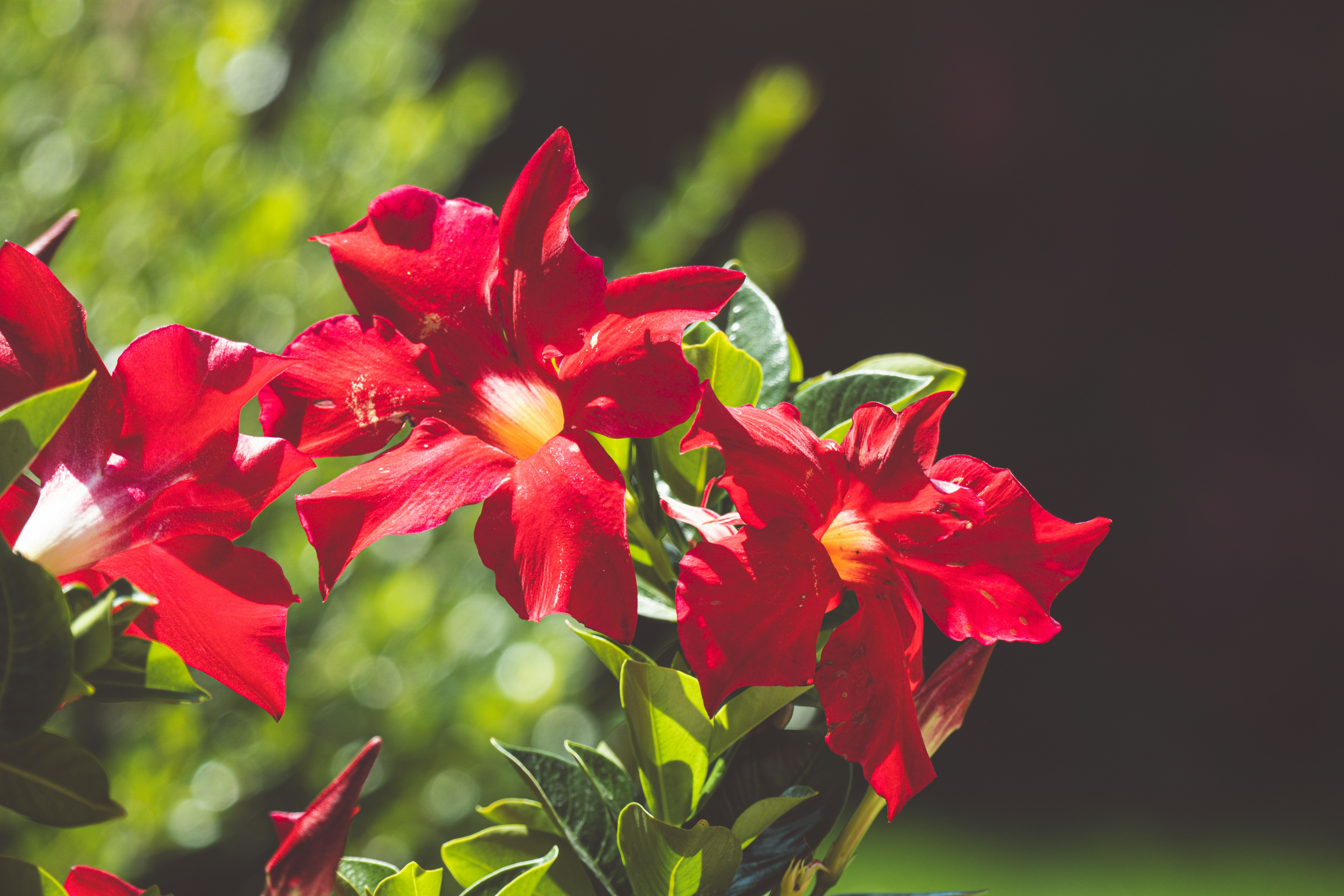 Photo by niklasjakob