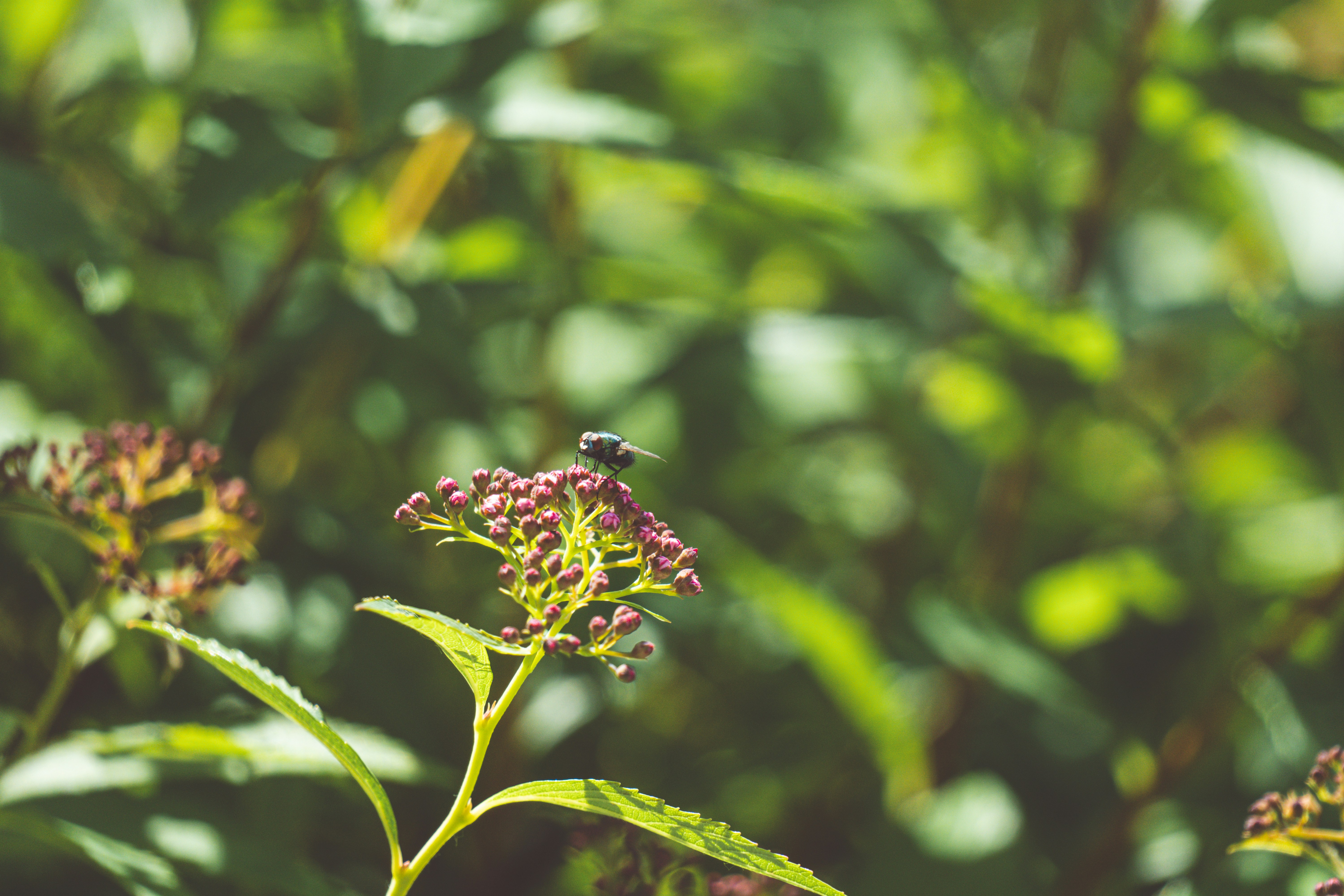 Photo by niklasjakob