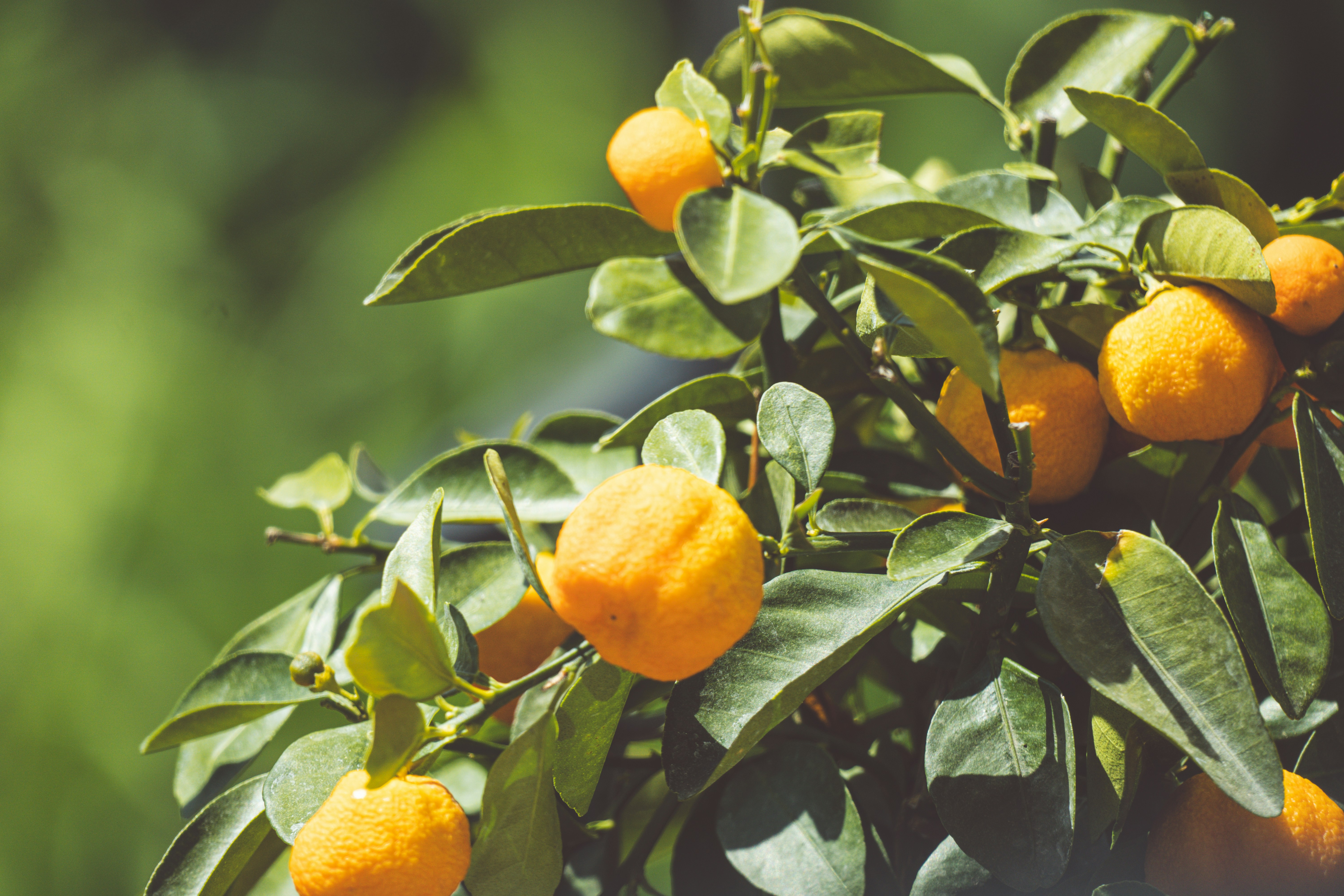 Photo by niklasjakob