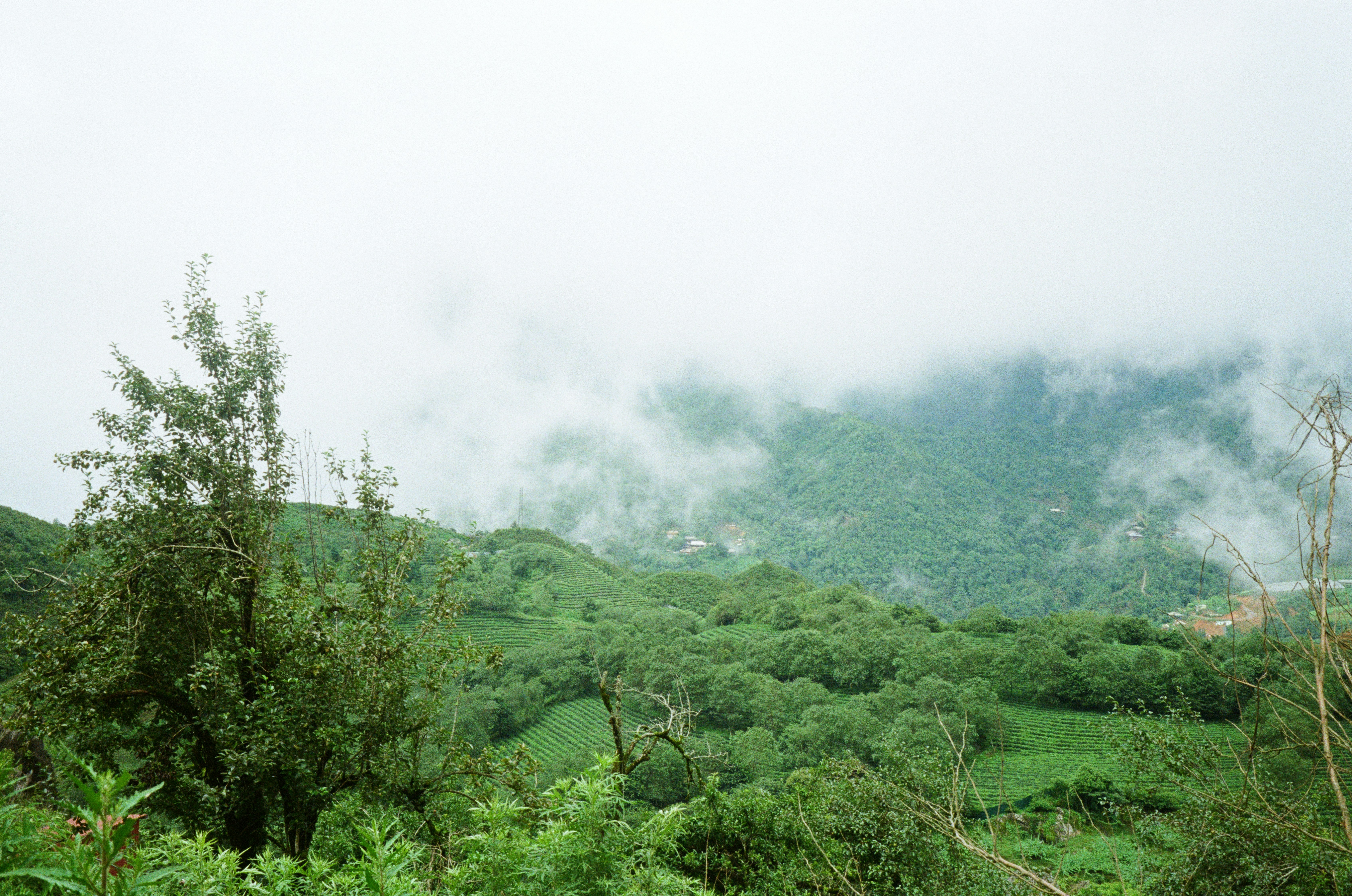 Photo by donguyenkhanhs