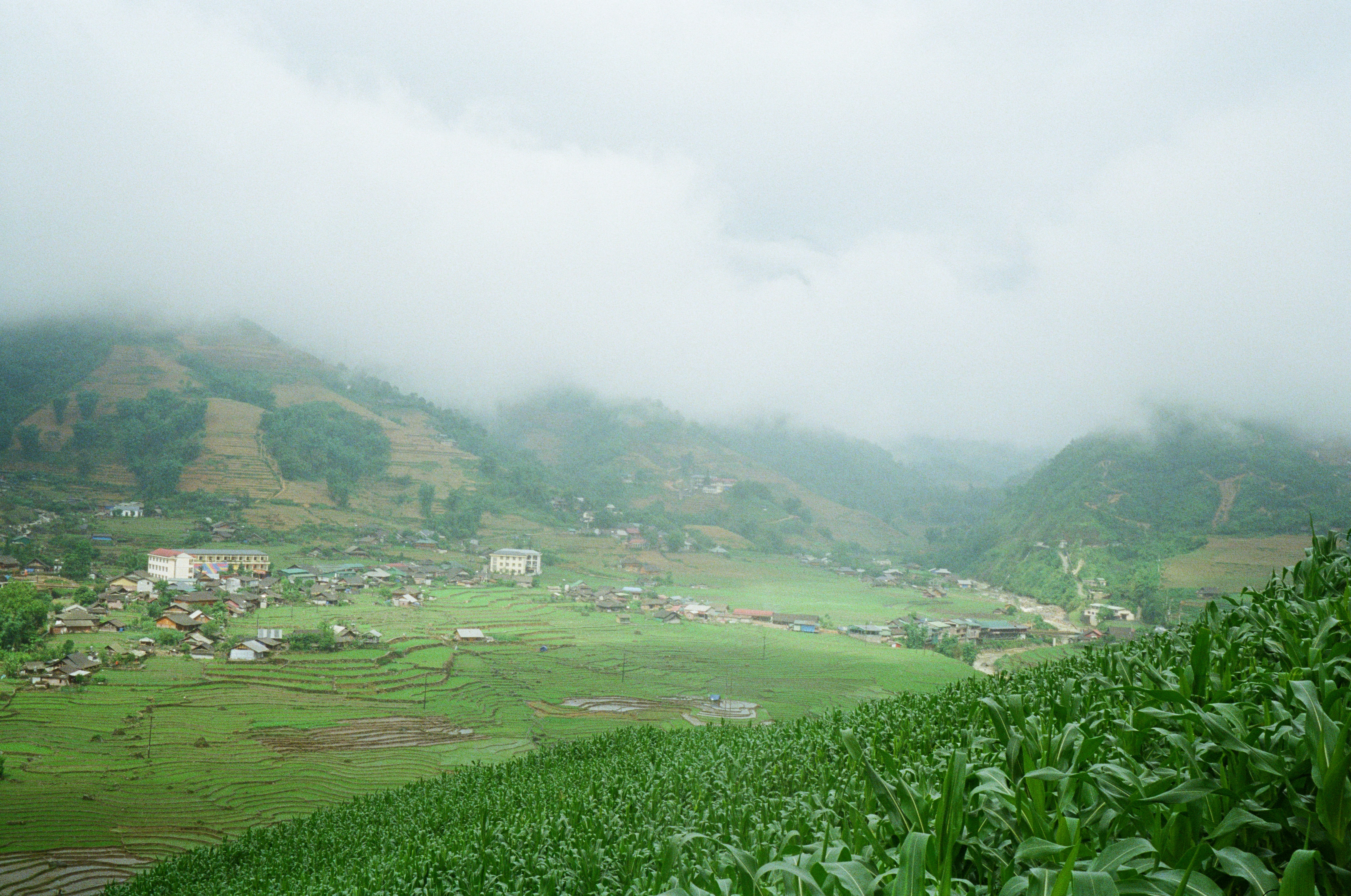 Photo by donguyenkhanhs