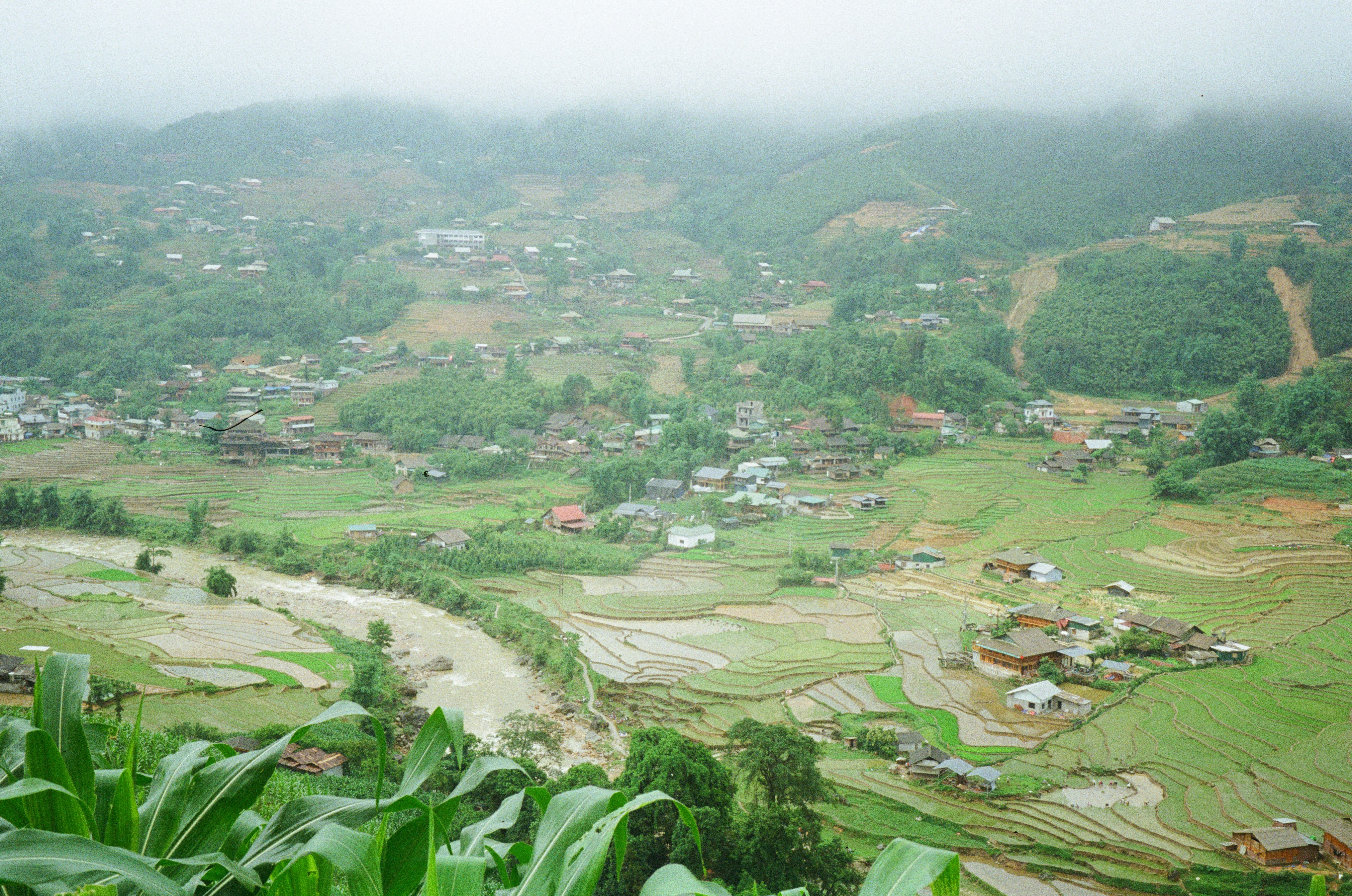 Photo by donguyenkhanhs