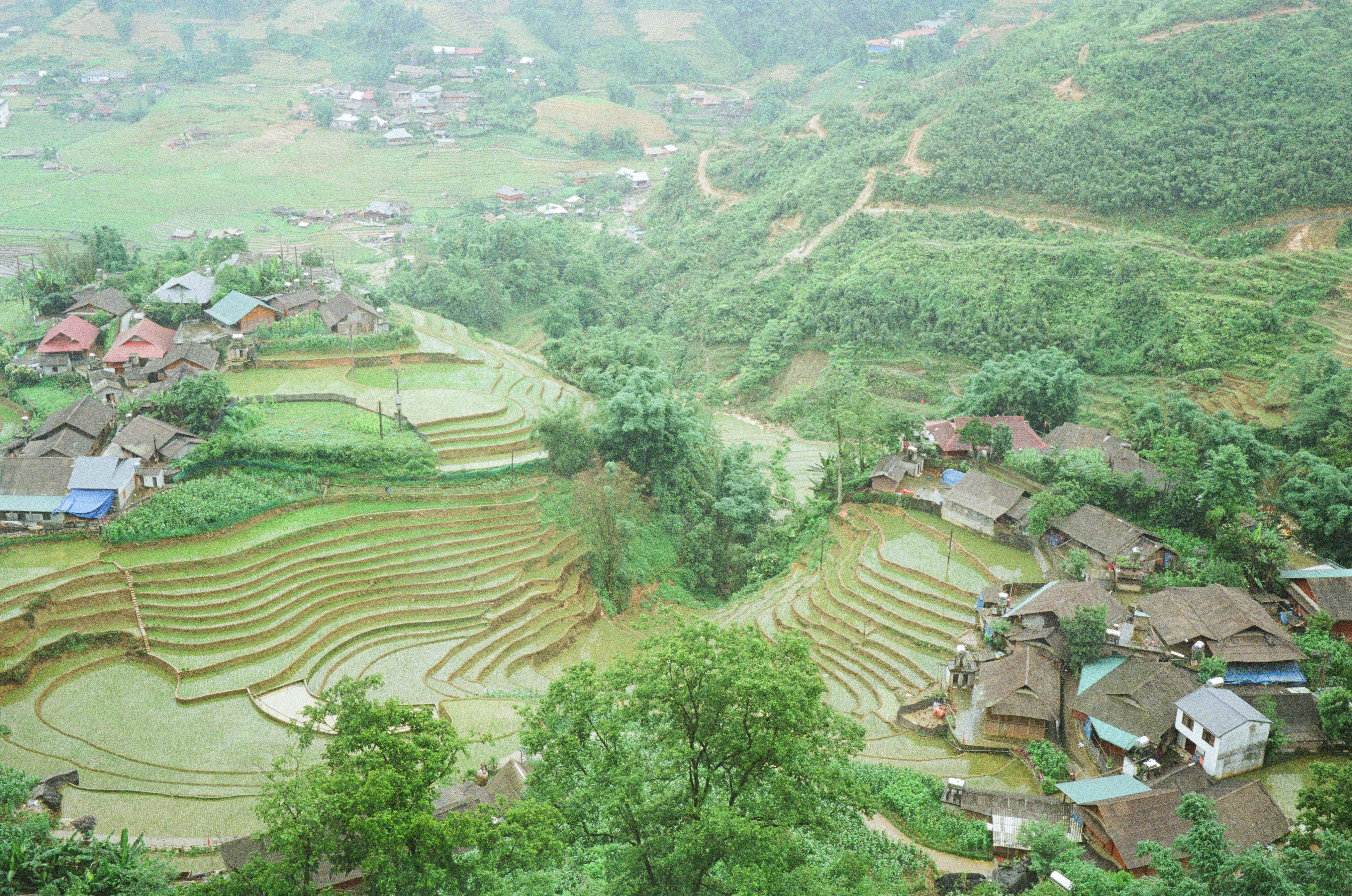 Photo by donguyenkhanhs
