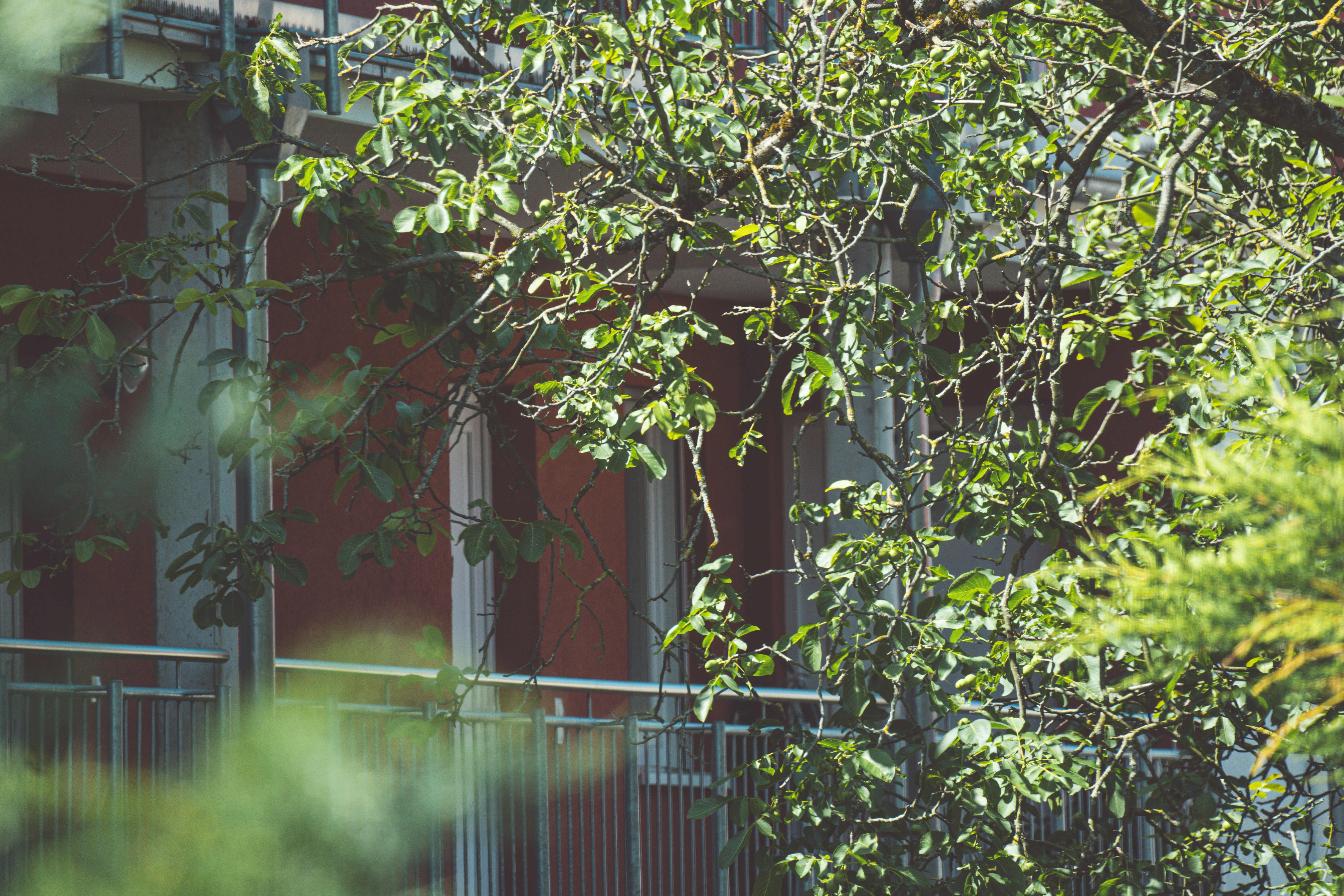 Photo by niklasjakob