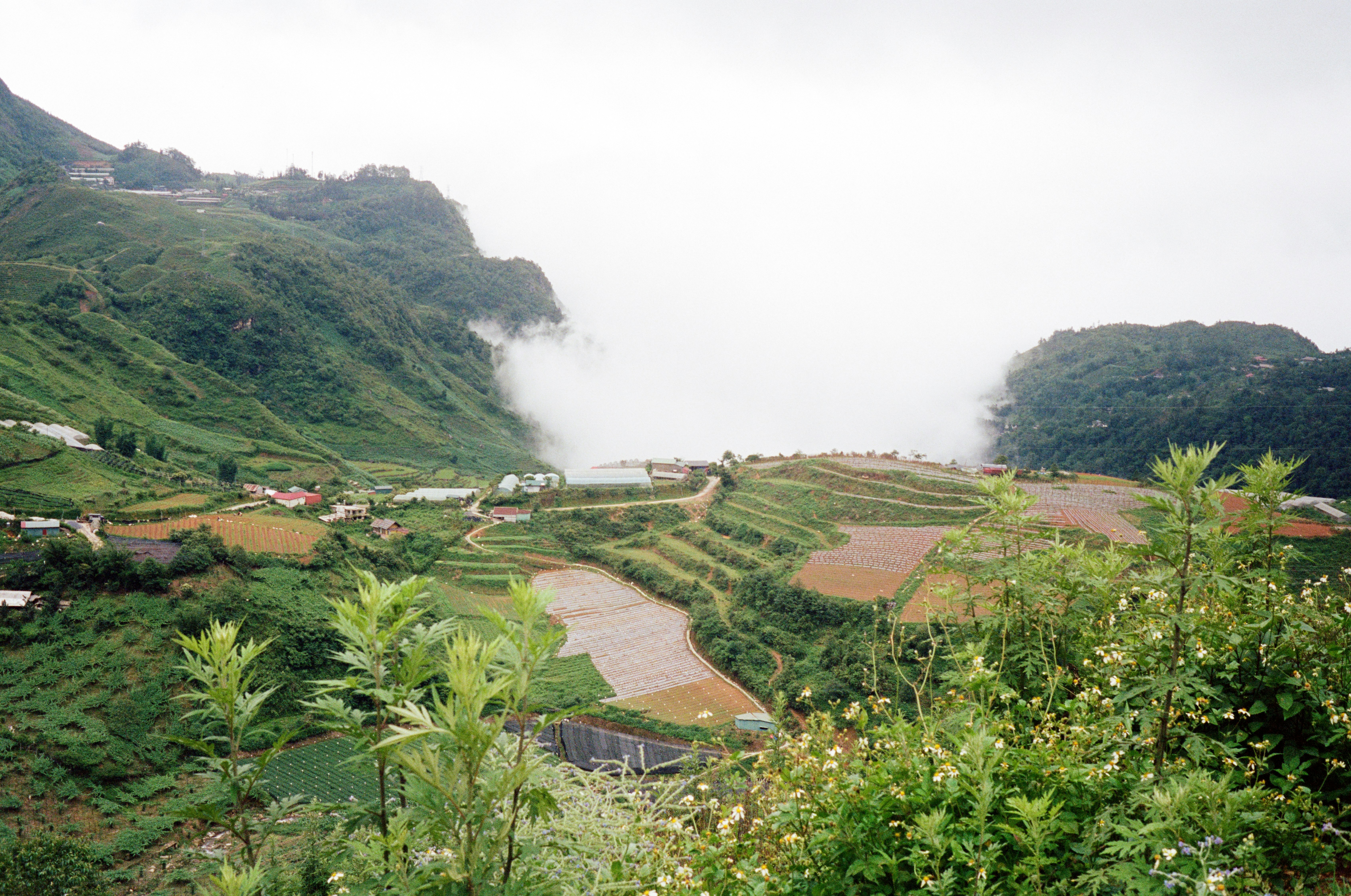 Photo by donguyenkhanhs