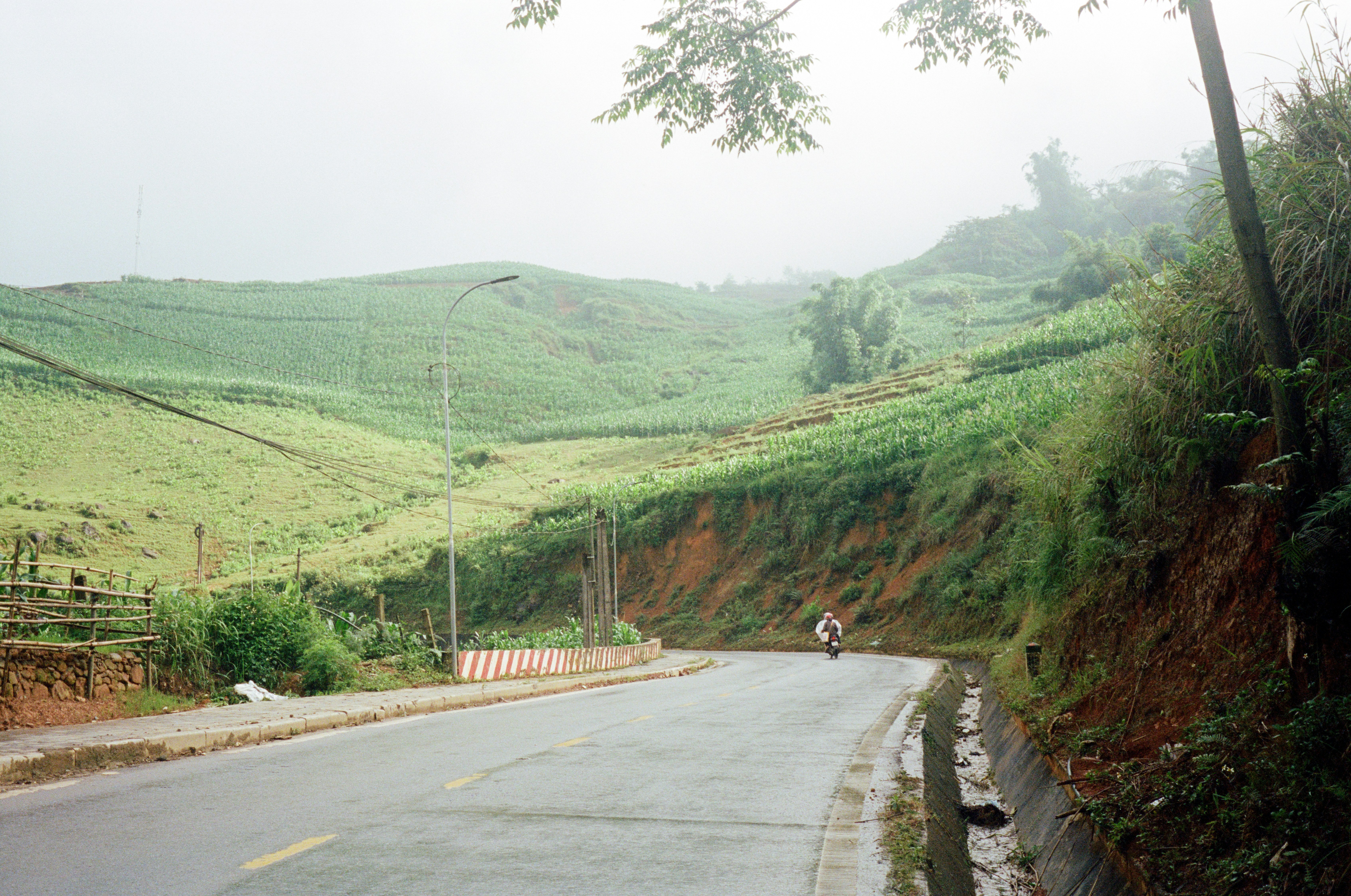 A cyclist rides down a wet road in a green landscape.