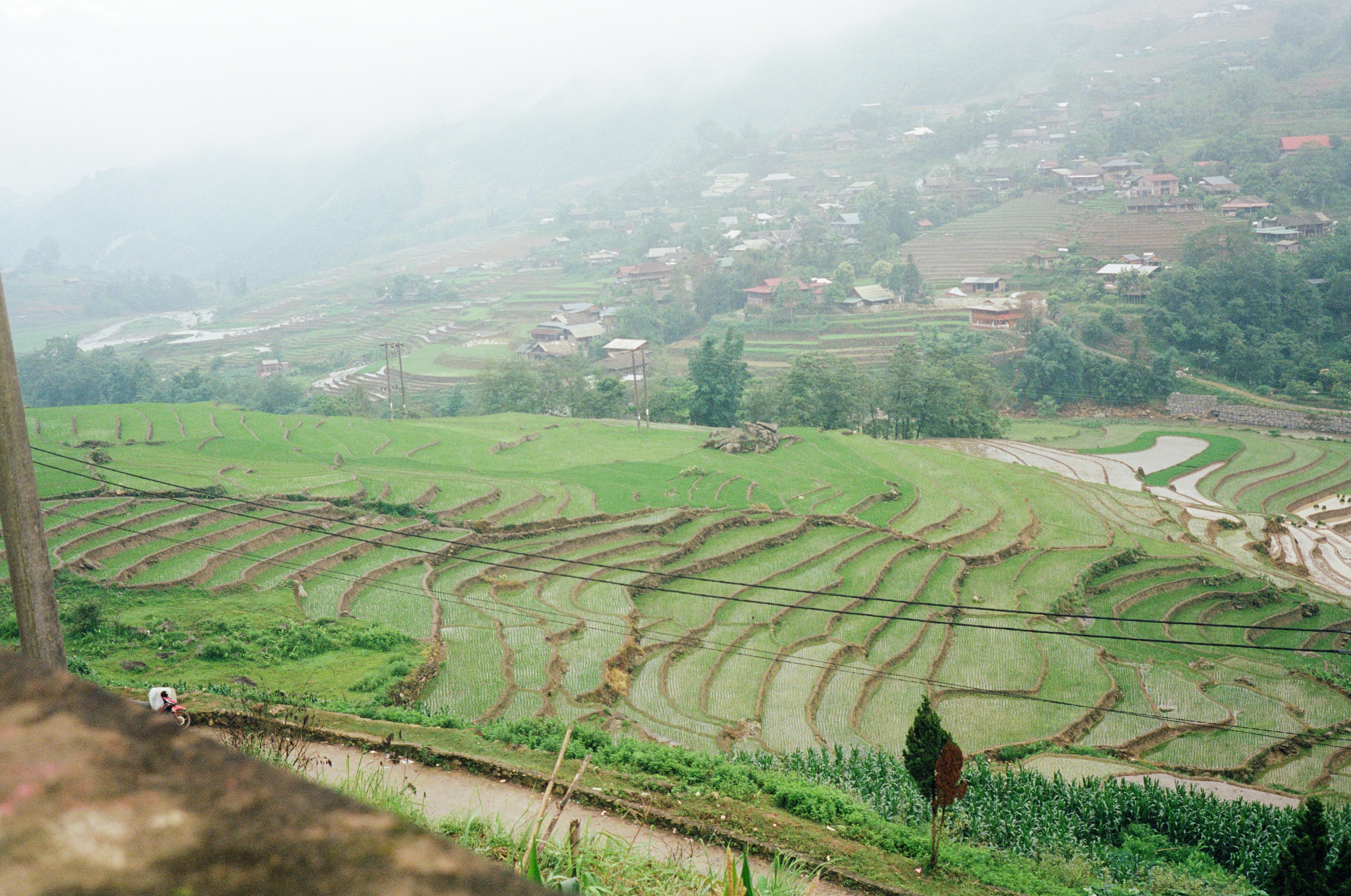 Photo by donguyenkhanhs