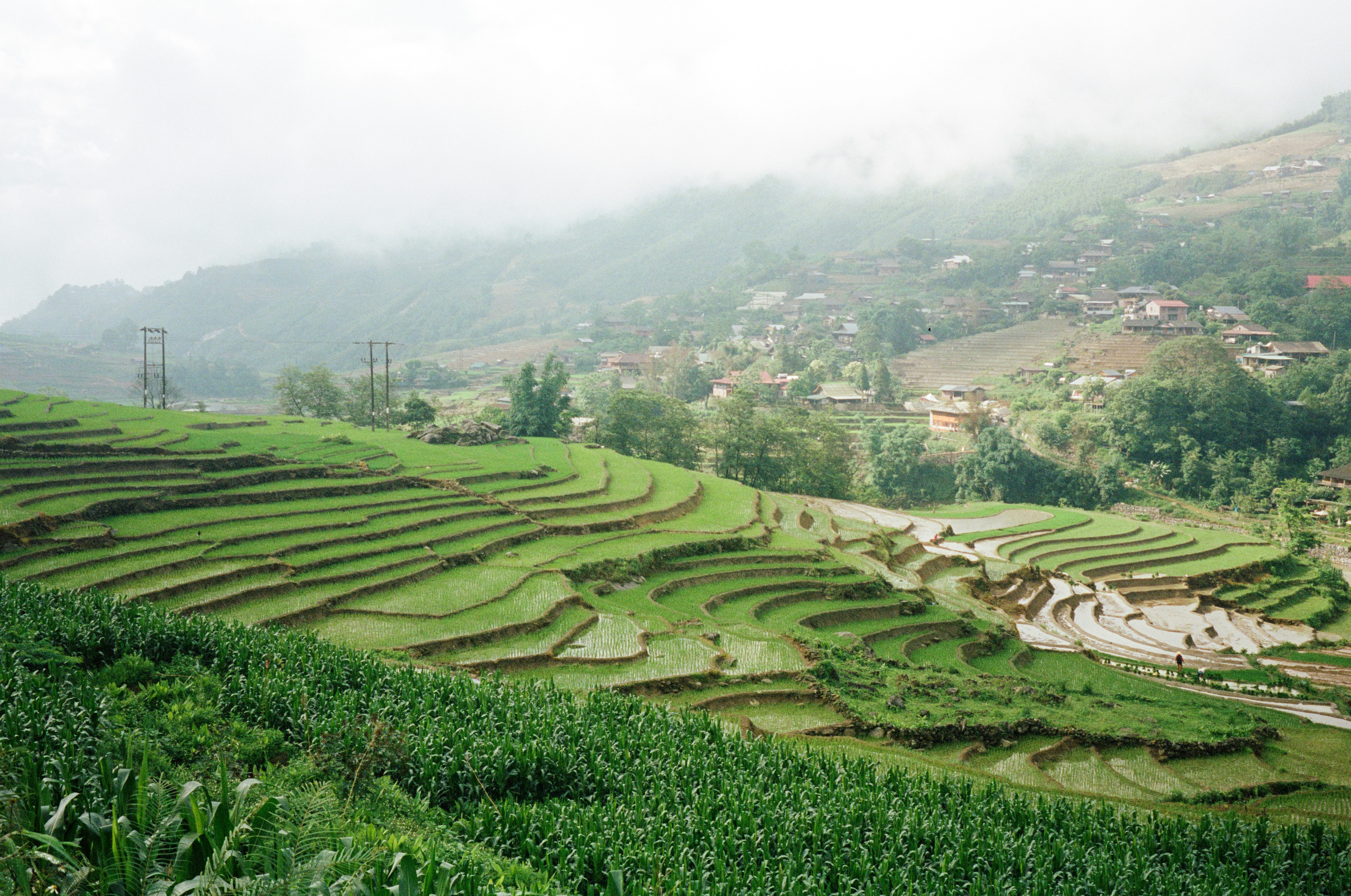 Photo by donguyenkhanhs