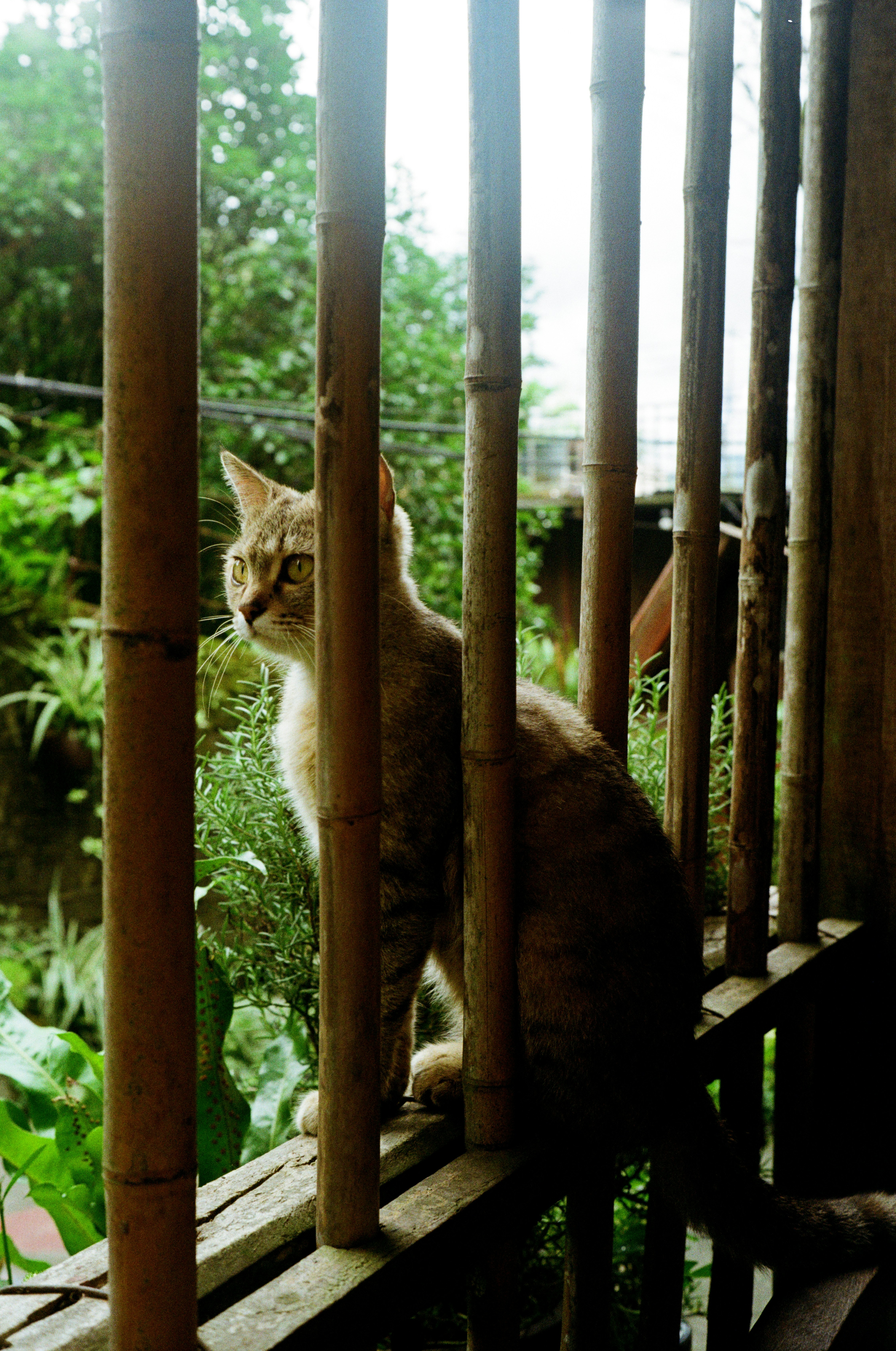 Photo by donguyenkhanhs