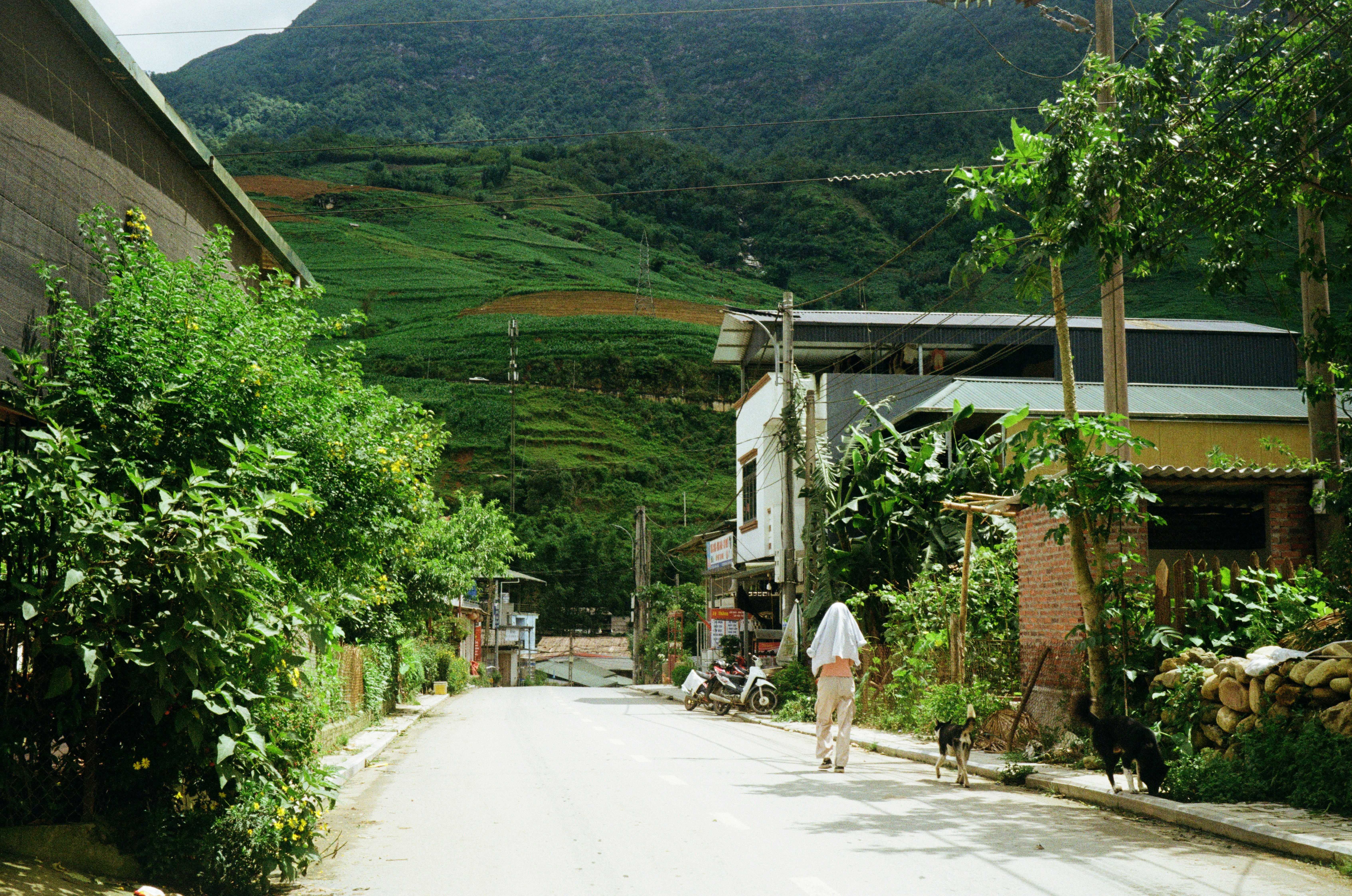 Binh Yen Homestay (Peace Homestay)