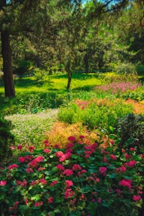 A lush, colorful garden is illuminated by sunlight.