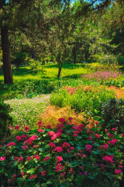 A lush, colorful garden is illuminated by sunlight.