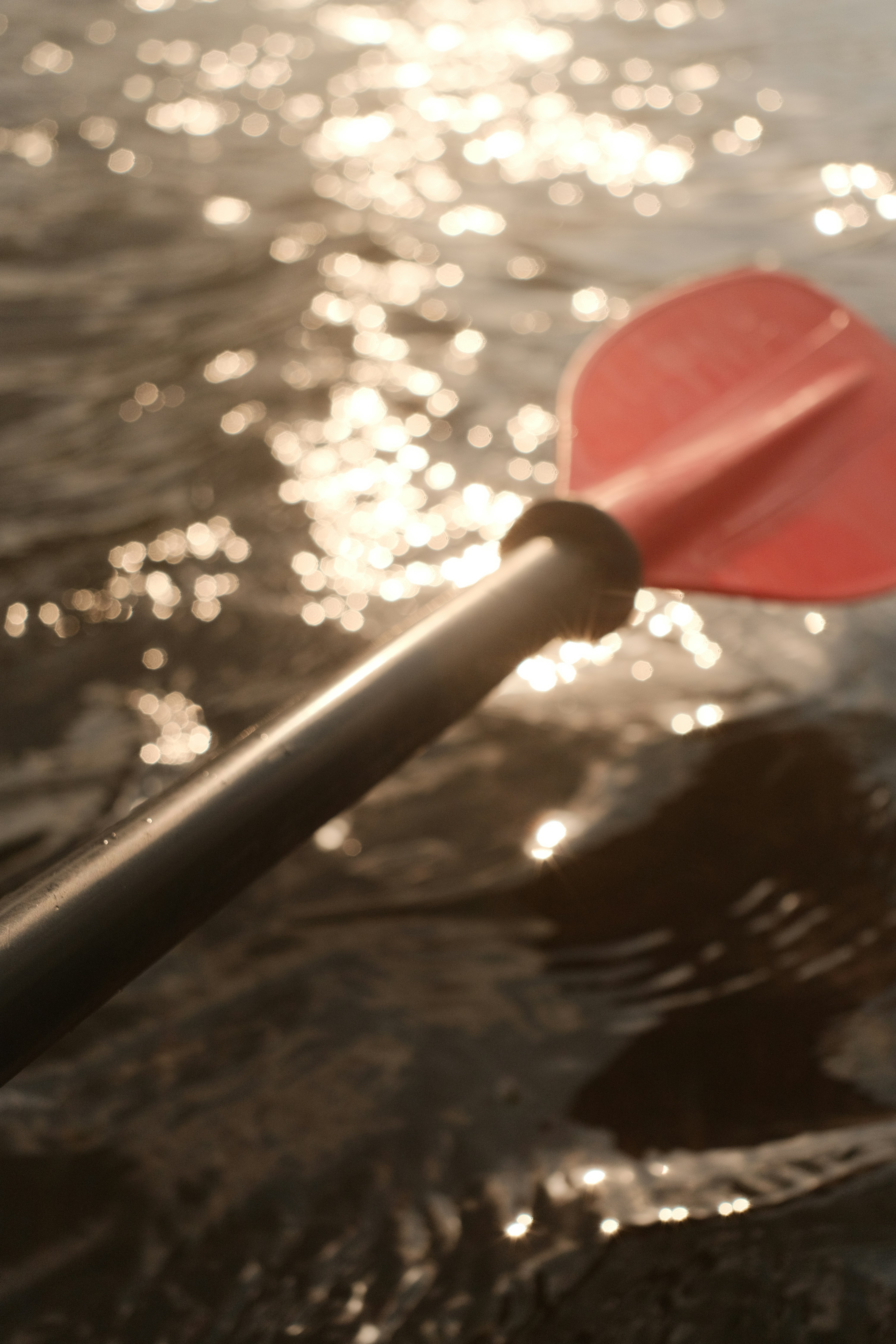 Photo by tobolenkoph