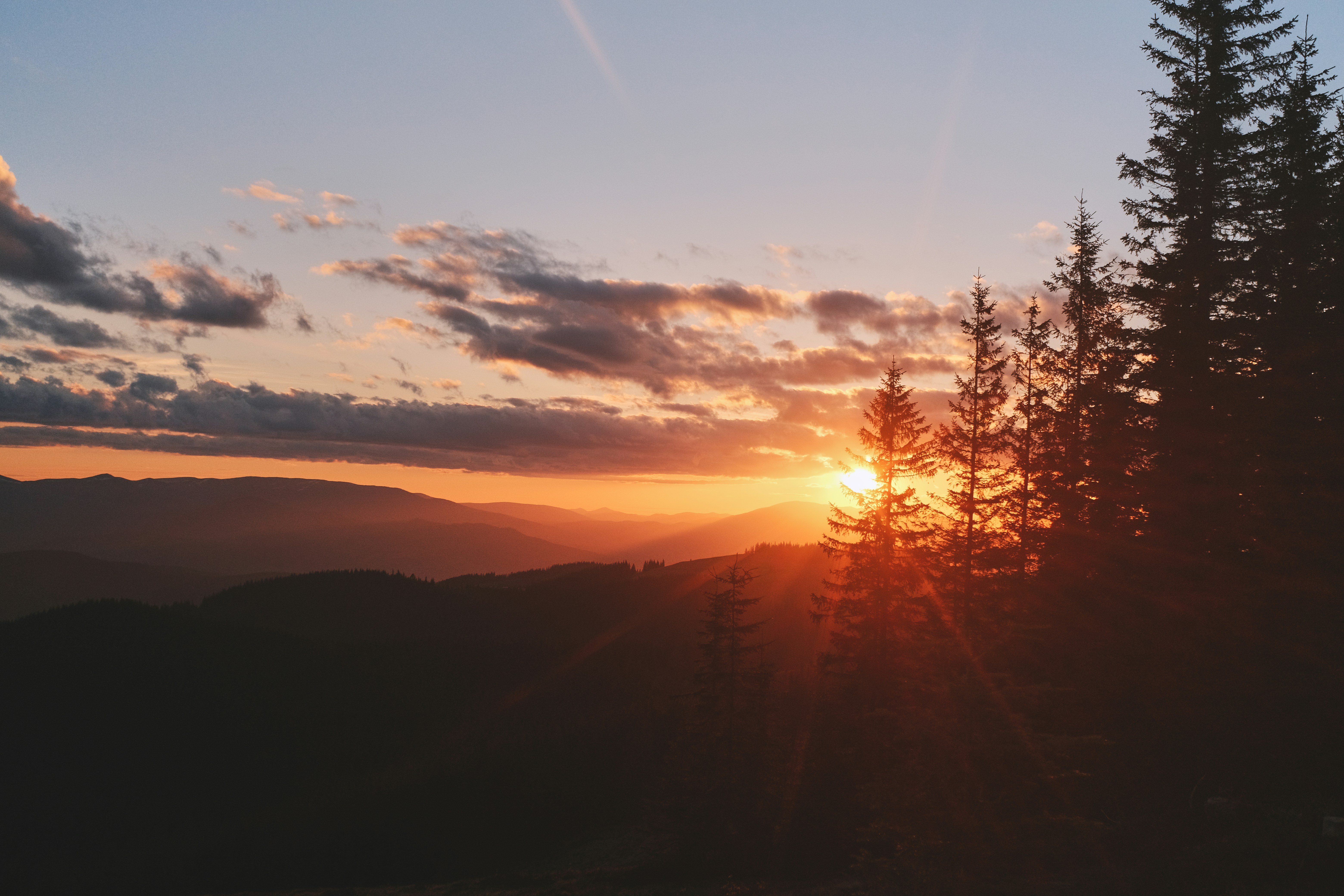 Photo by tobolenkoph