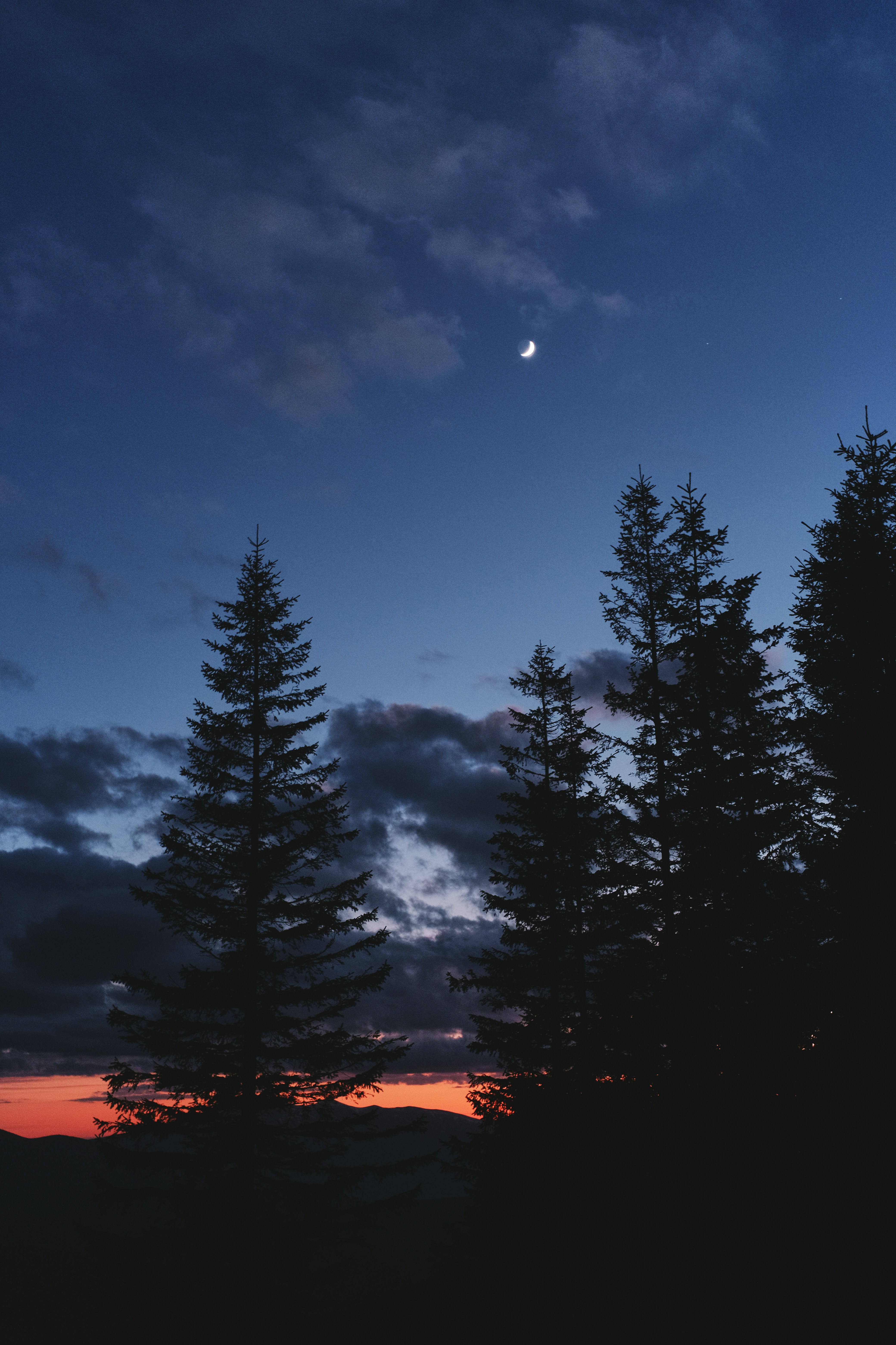 Photo by tobolenkoph