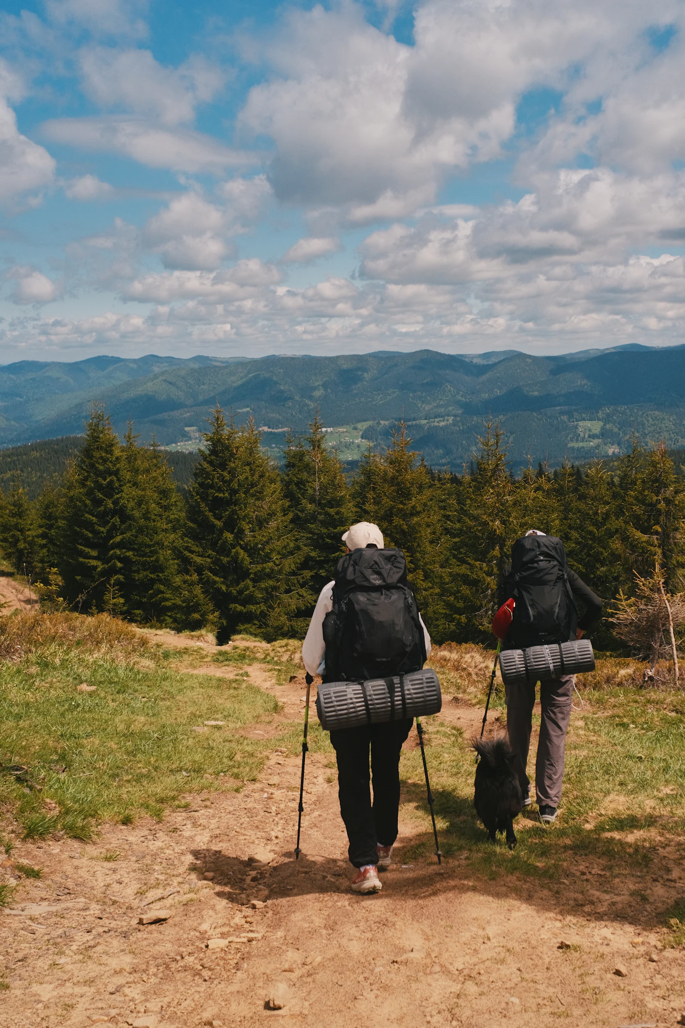 Hikers enjoying the outdoors — joint and digestive comfort