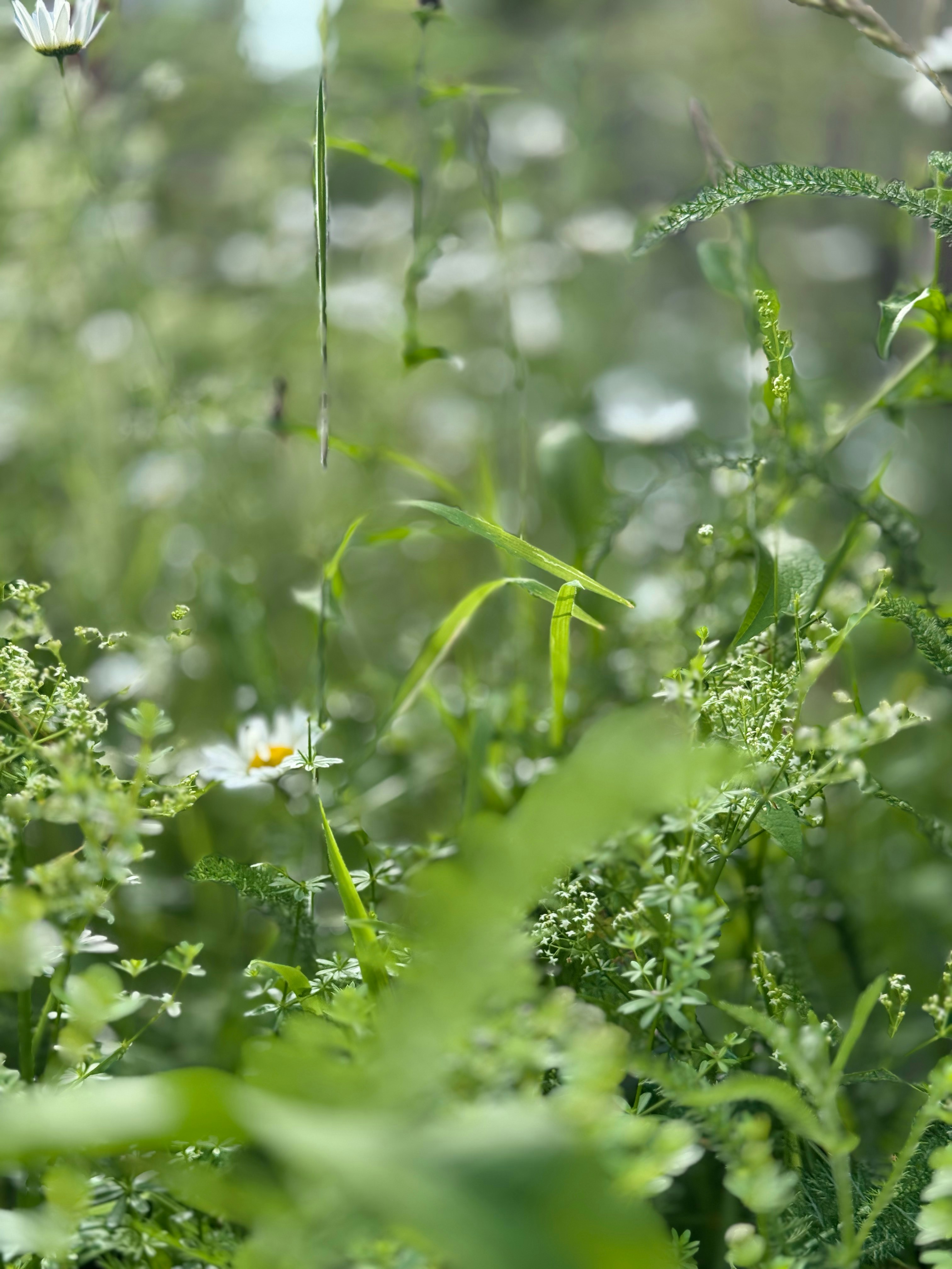 Photo by otterlabsltd